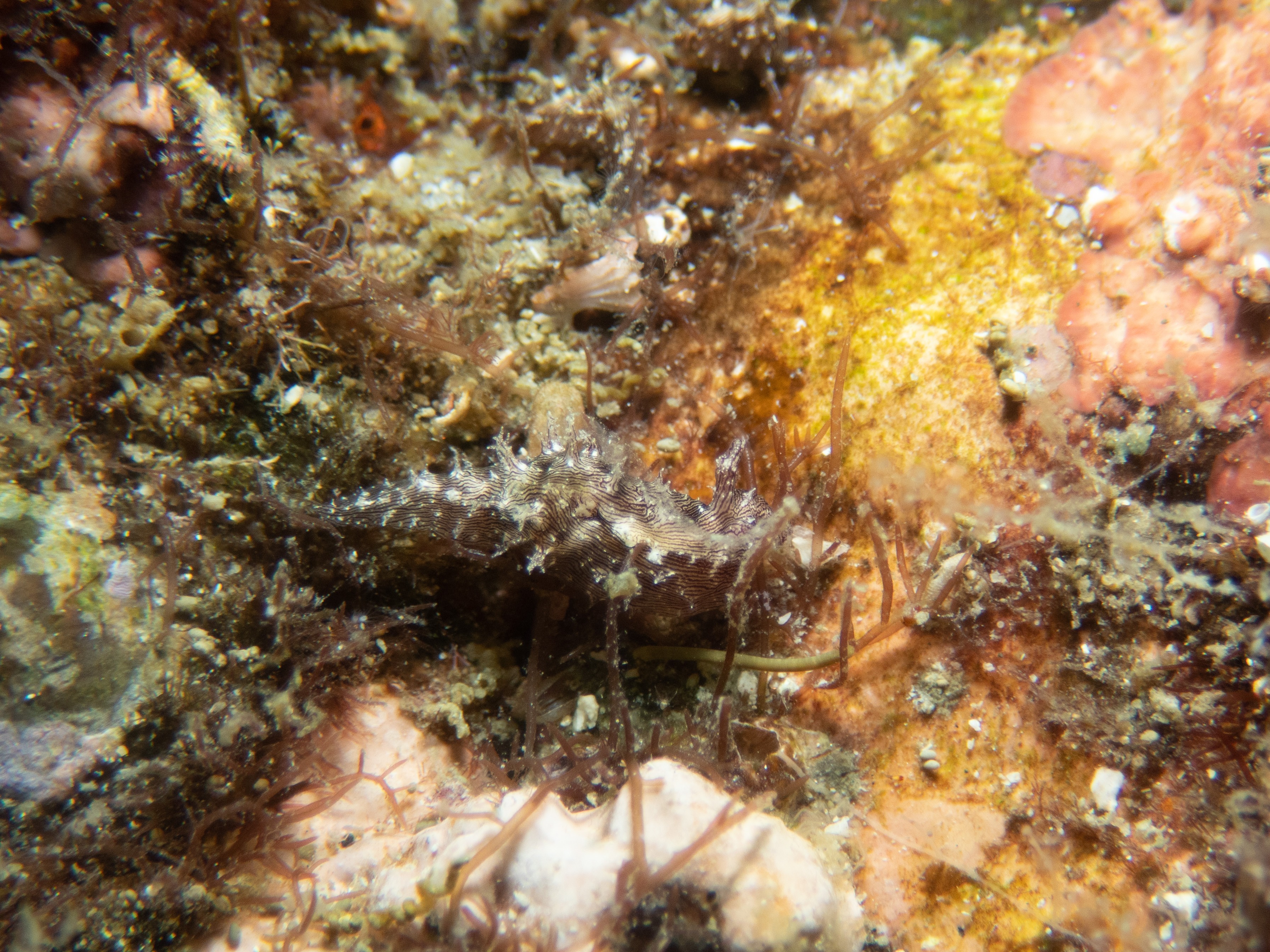 2856D84D-FC40-4234-A6B0-16463116A0E6