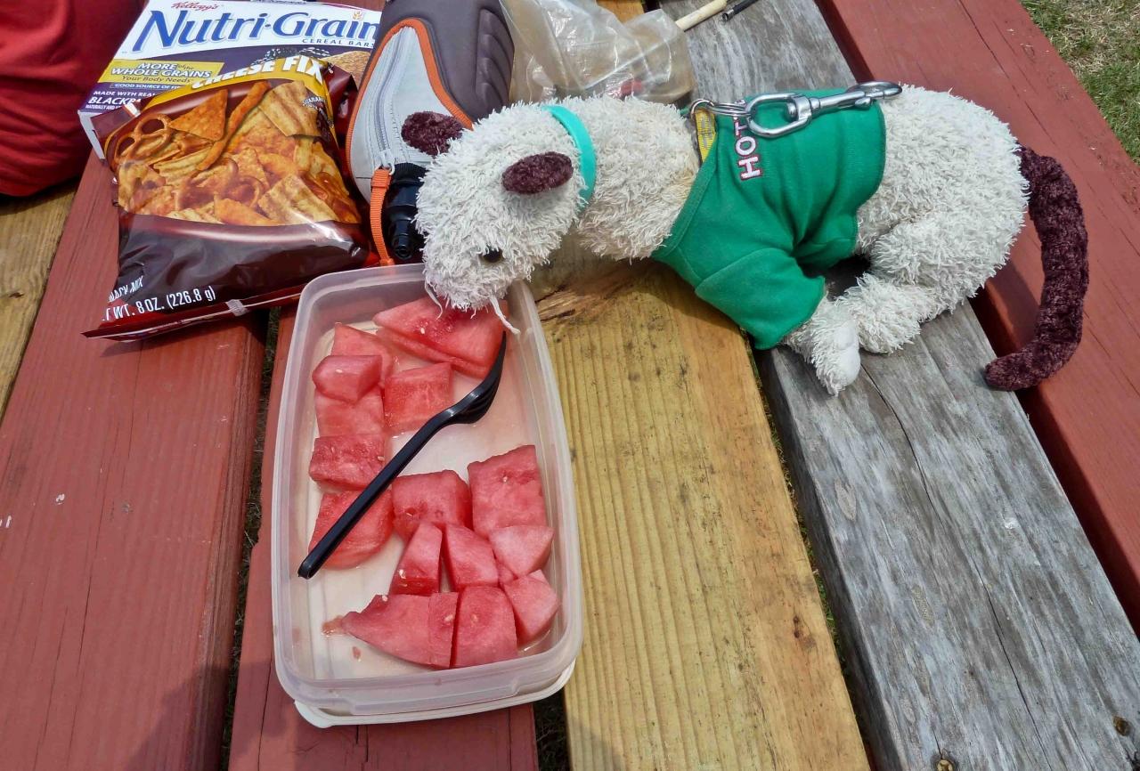 288 Monthly Dive Event4 30 2011