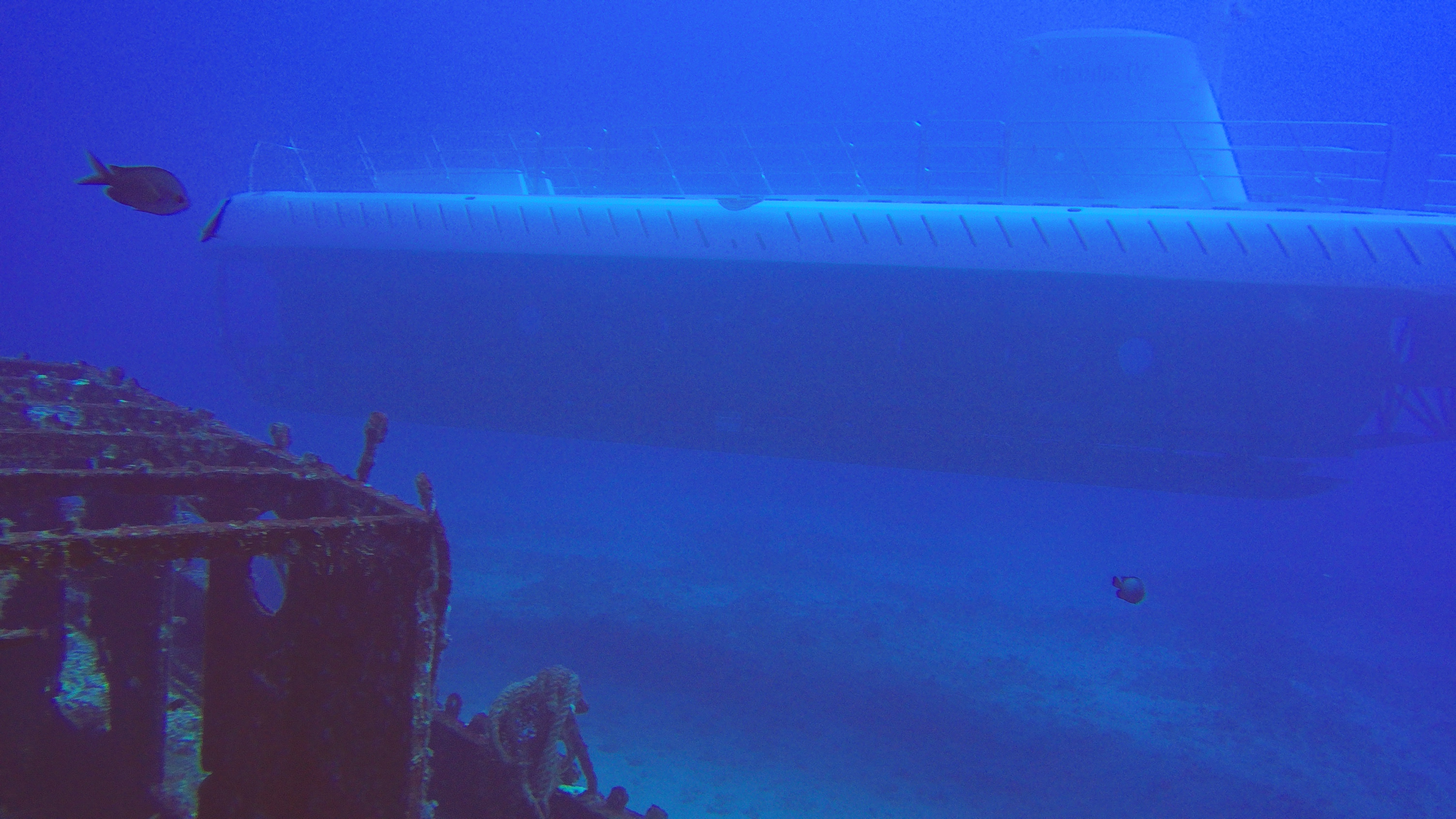 29 Atlantis Sub On Carthaginian Wreck