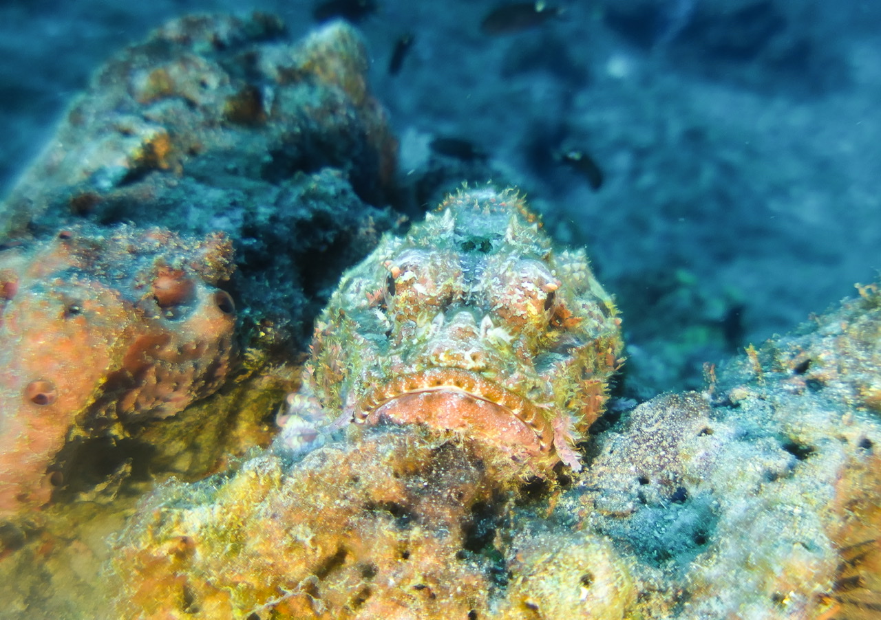 2A29695E-E11C-4F06-B73D-E6172538ADB4