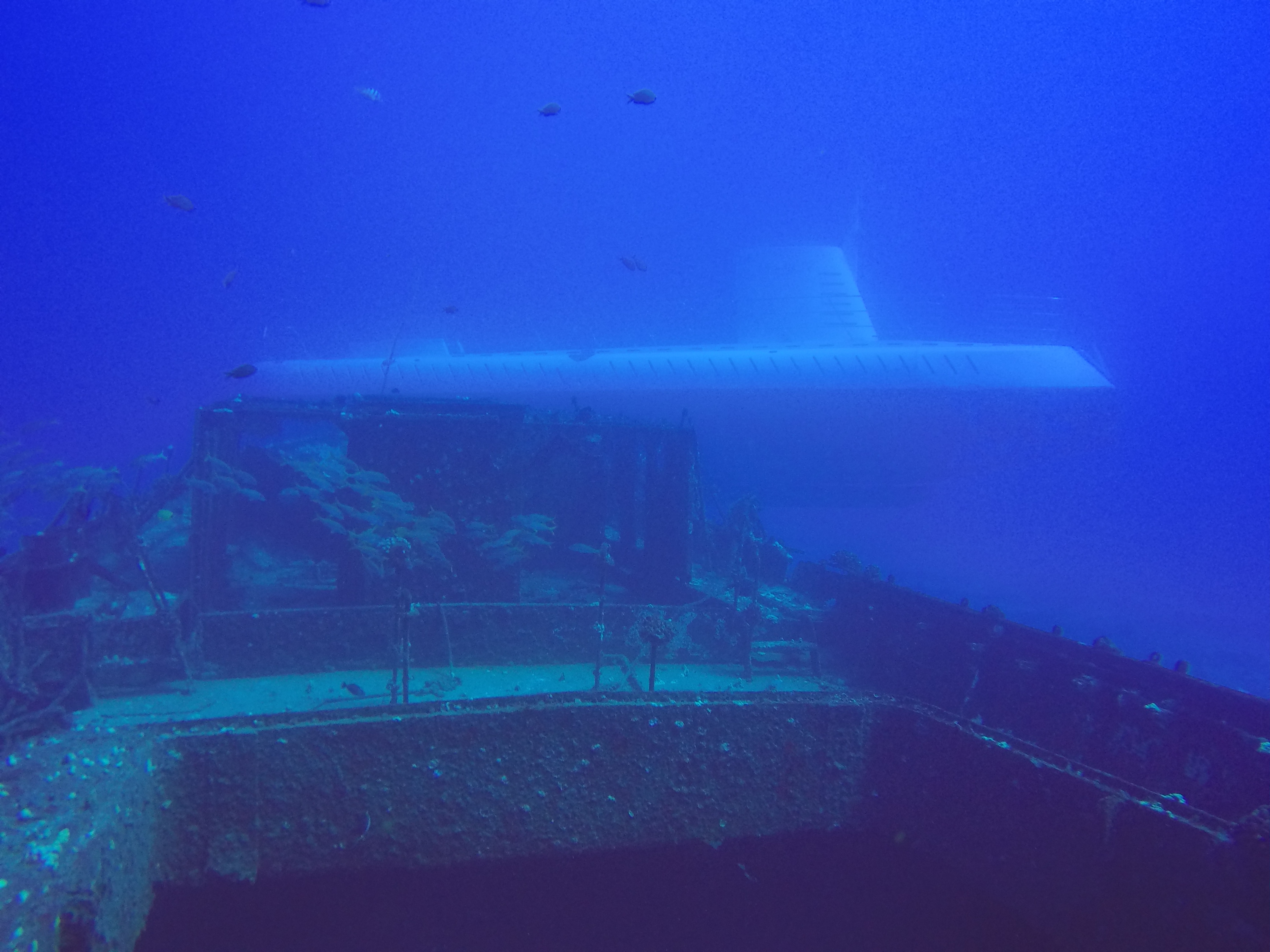 30 Atlantis Sub On Carthaginian Wreck