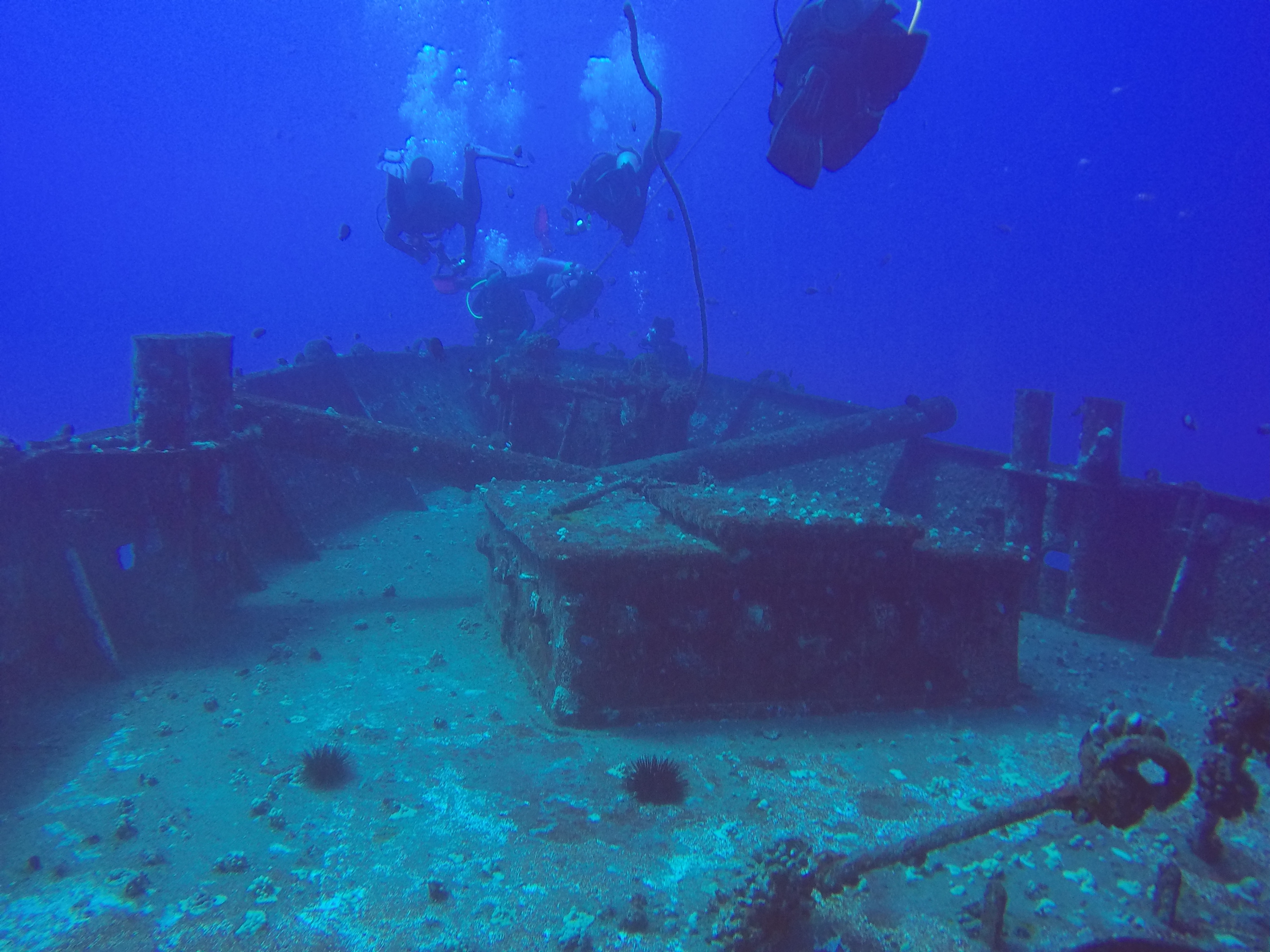 31 Carthaginian Wreck