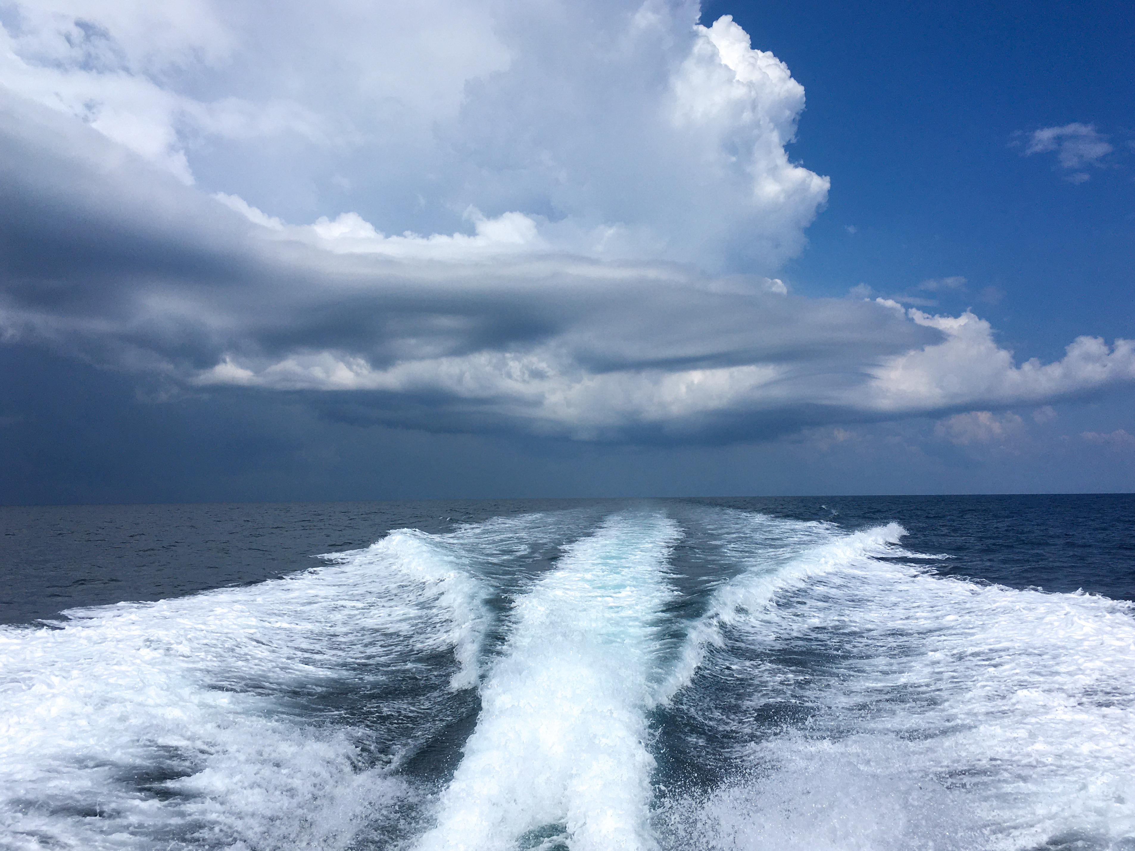 32C4D4E3-C558-4213-871C-8CE484EB0F8F