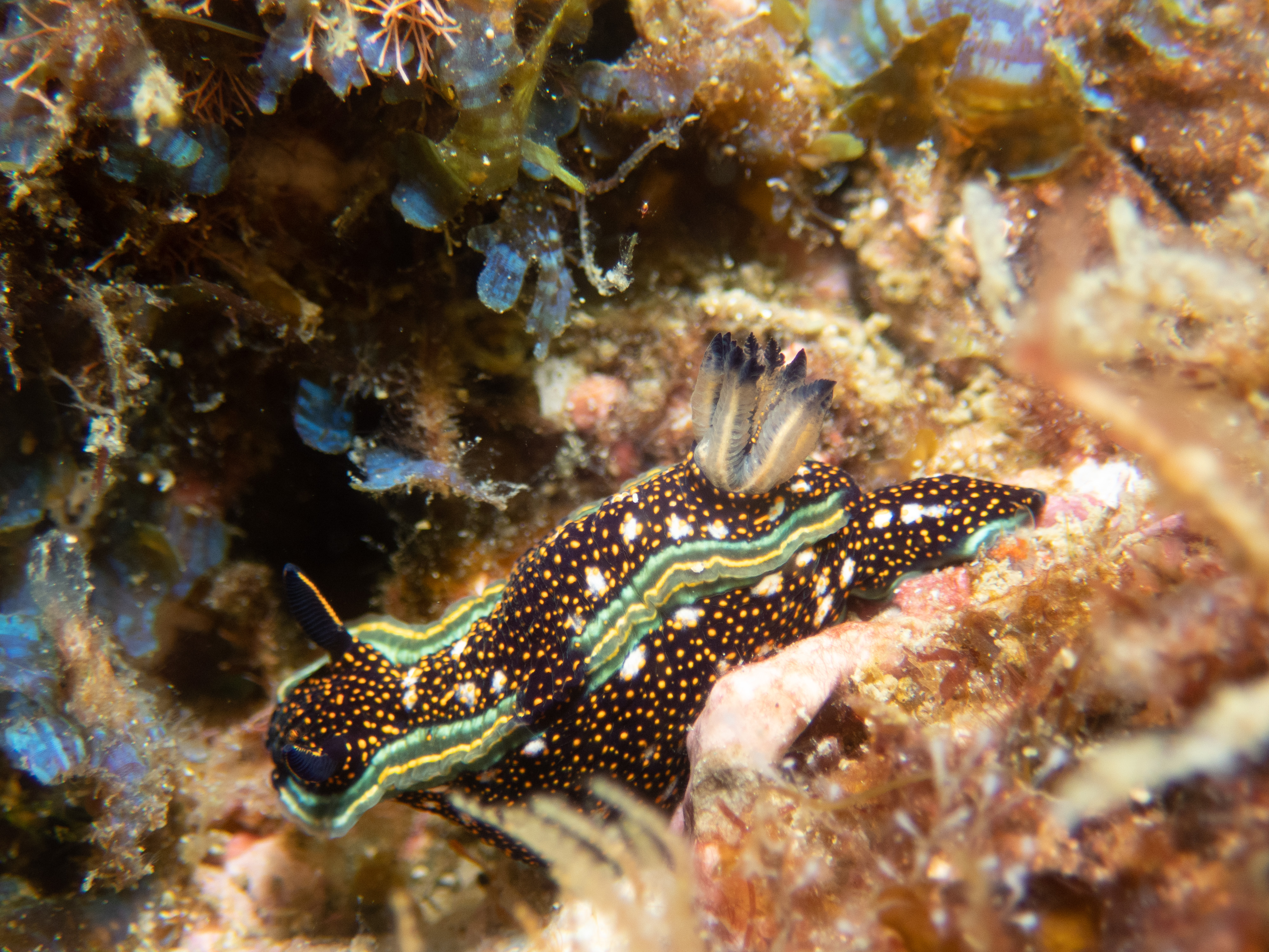 3350B6FE-F16B-4EF8-85FC-F130984825F9