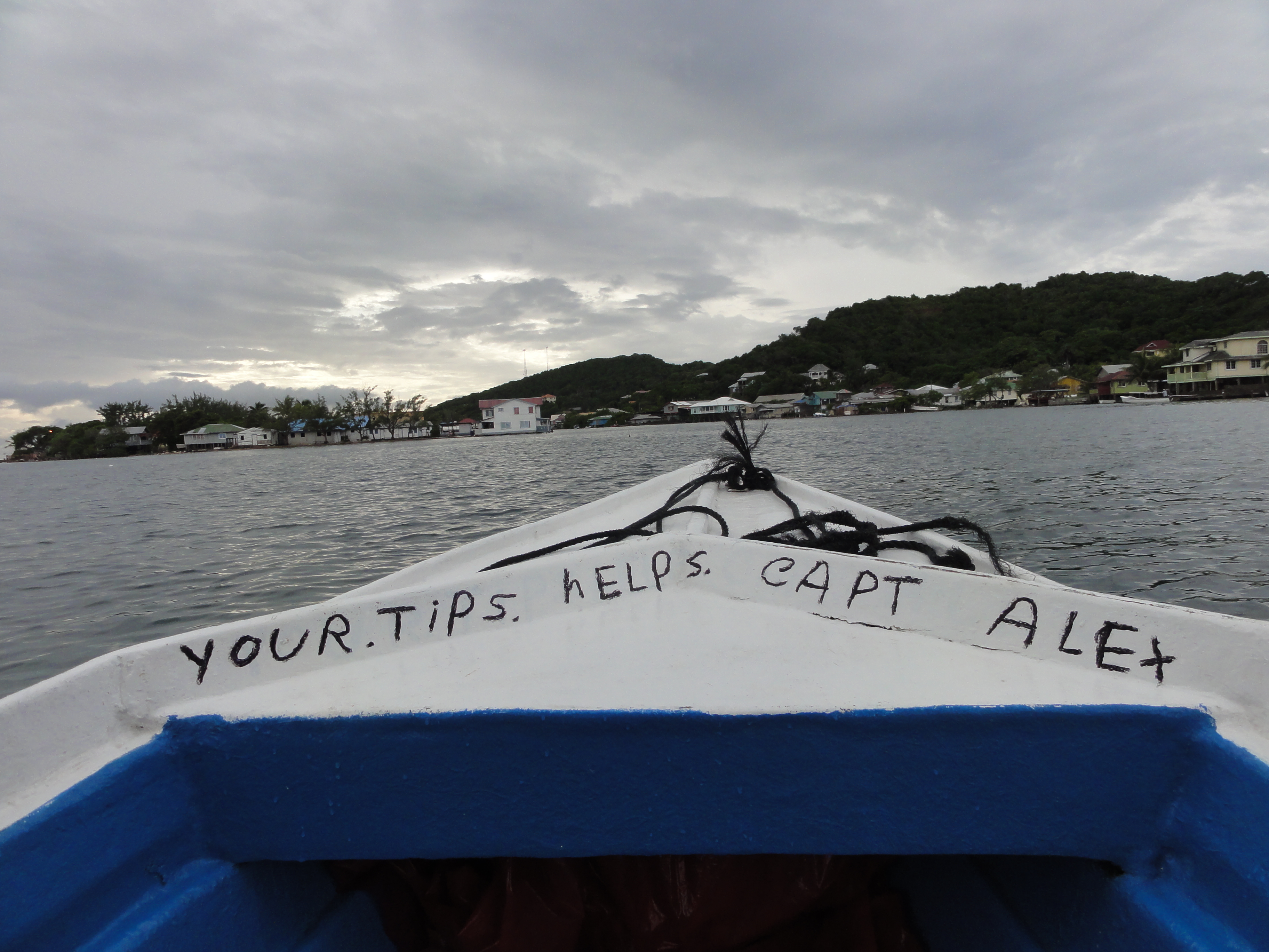 38 - Boat ride to mangroves