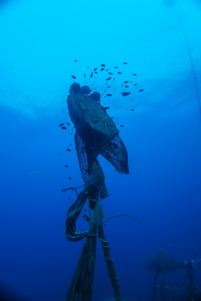 3ECF448C-409C-40F0-8CD5-B606C15AD715