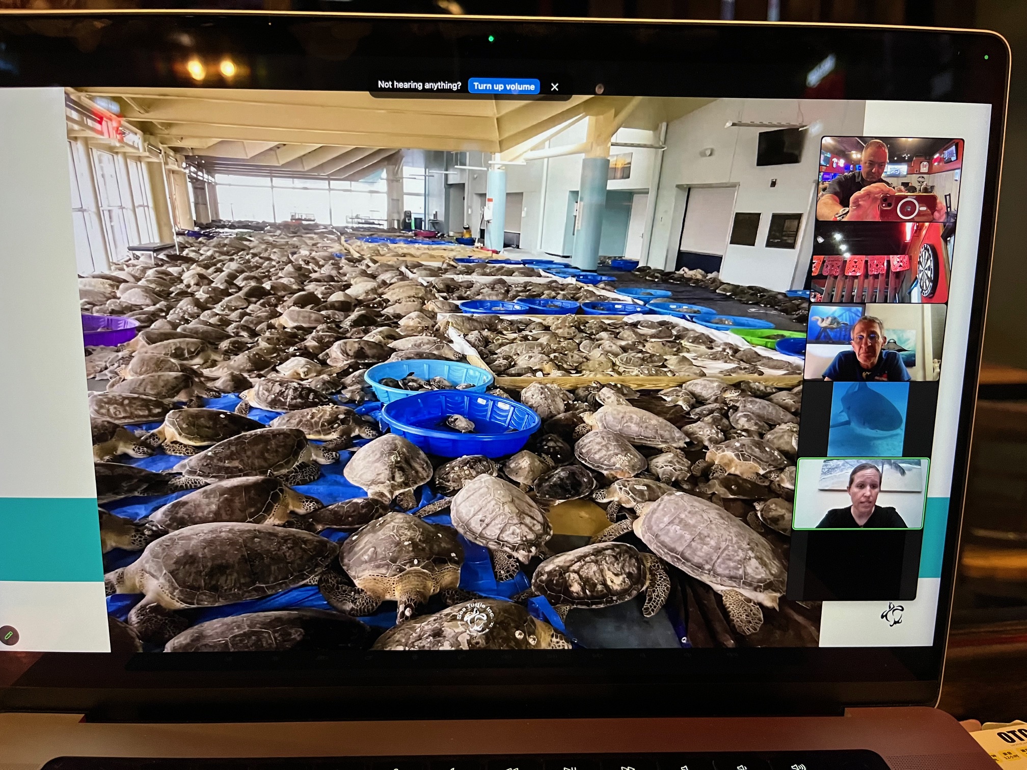 4 (April) - Turtle Sleepover