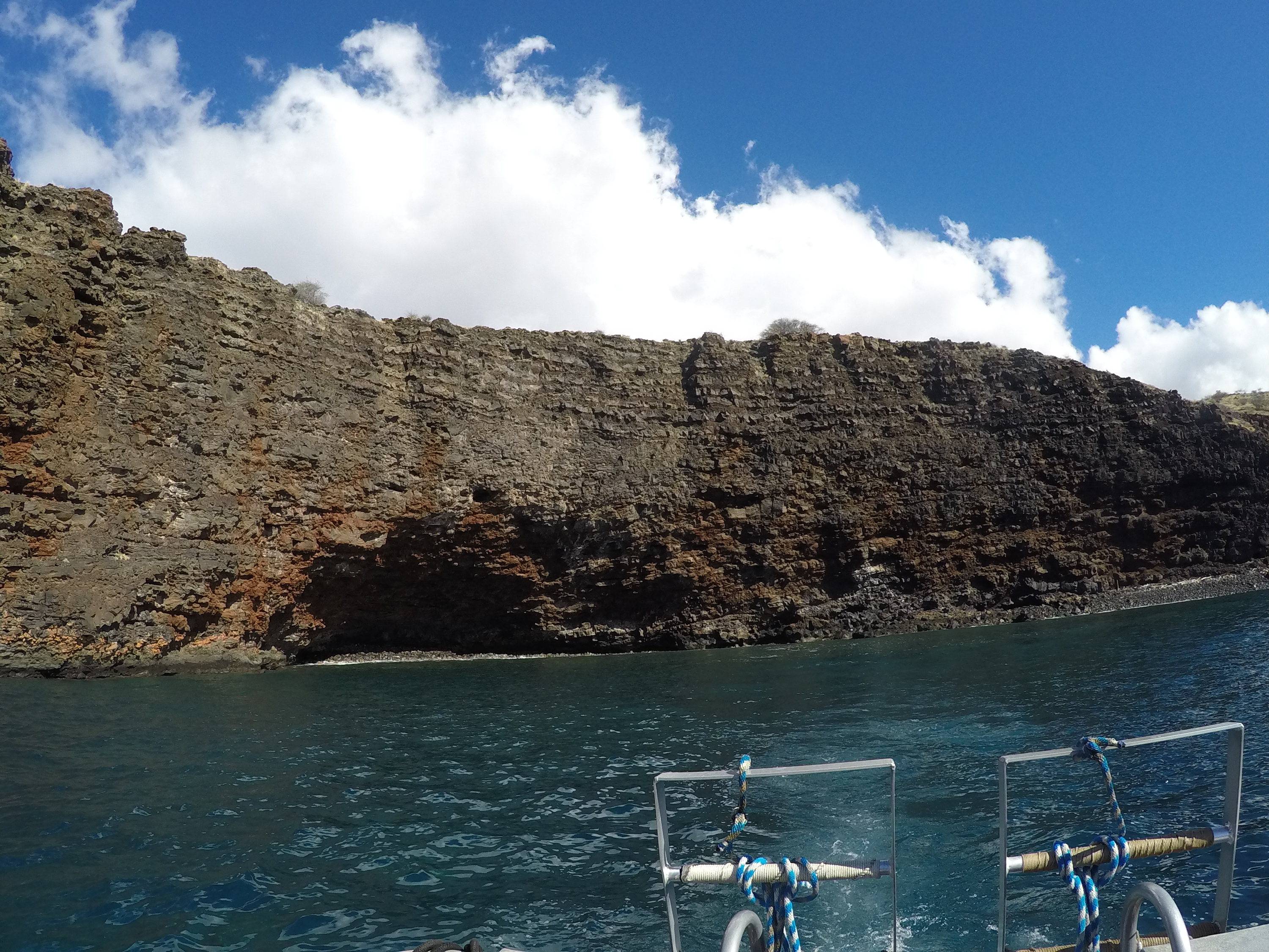 4 Lava Rock From Dive Boat