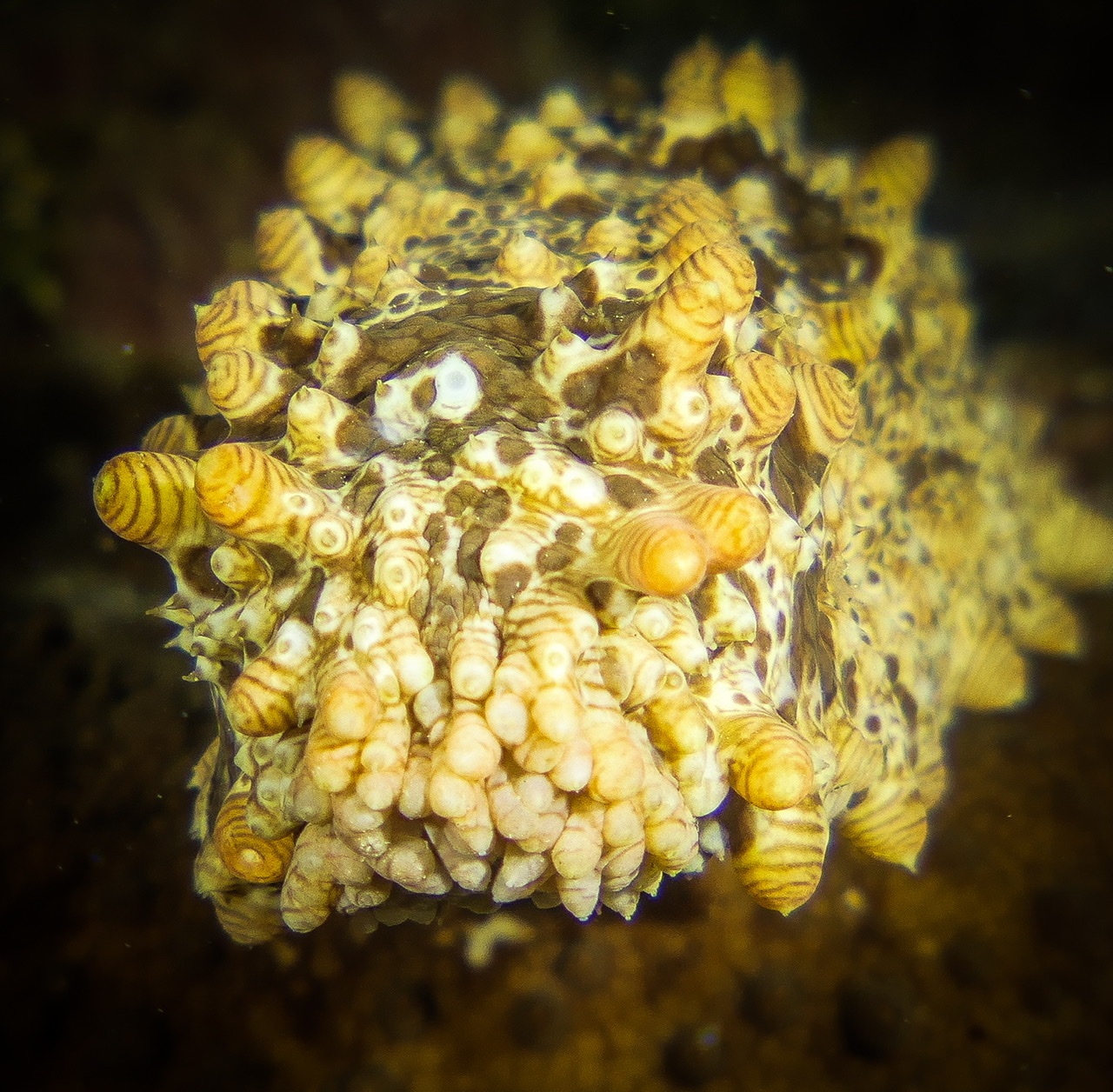 427F9D55-E568-4062-A97E-5415EEEF59A3