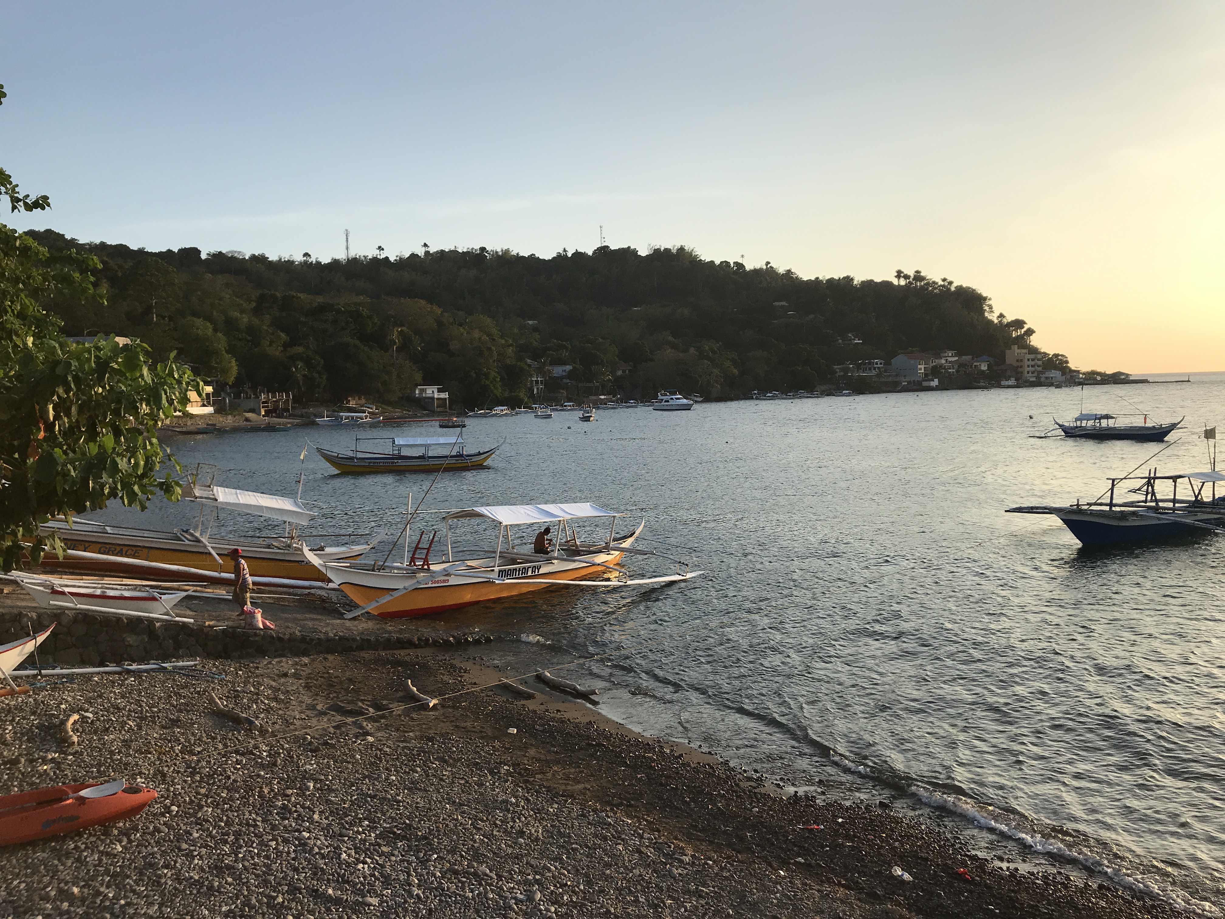 44  Hotel Beach At Anilao