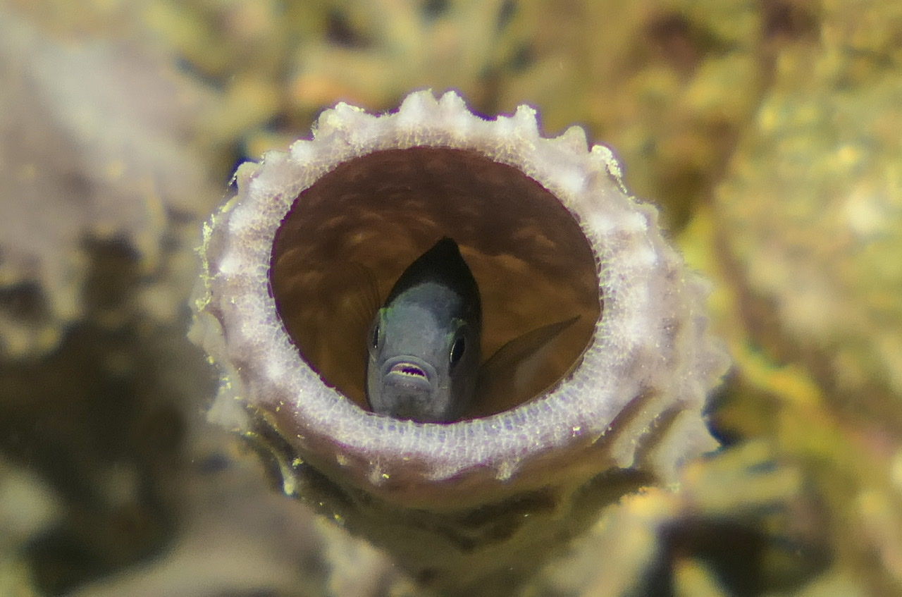 45714B77-24F7-41BF-8C7B-4AD533C6EBAC