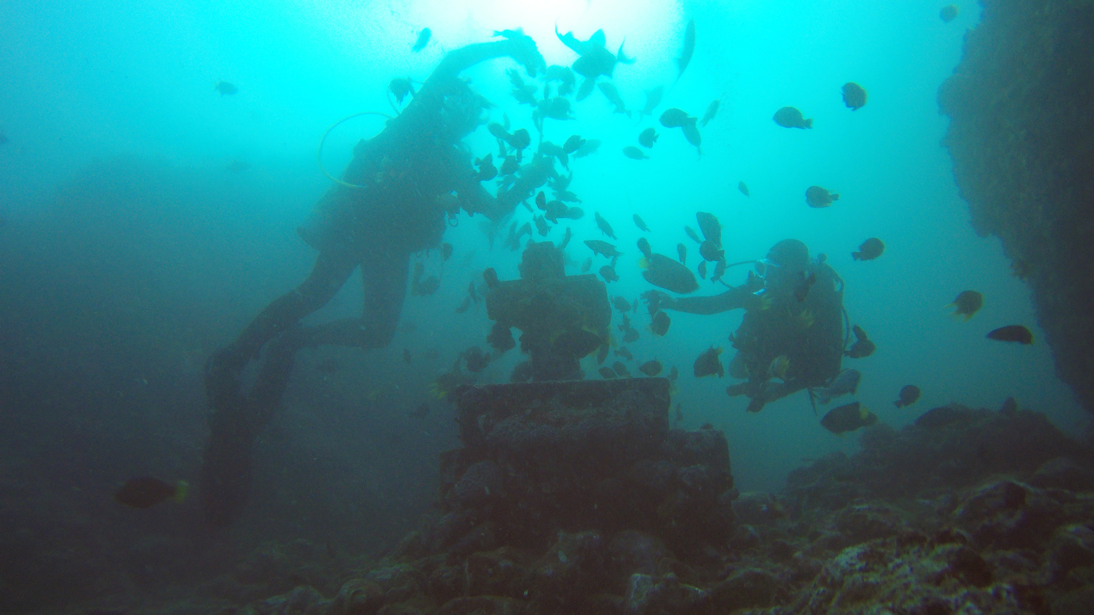 46  Fishfeeding At Cross