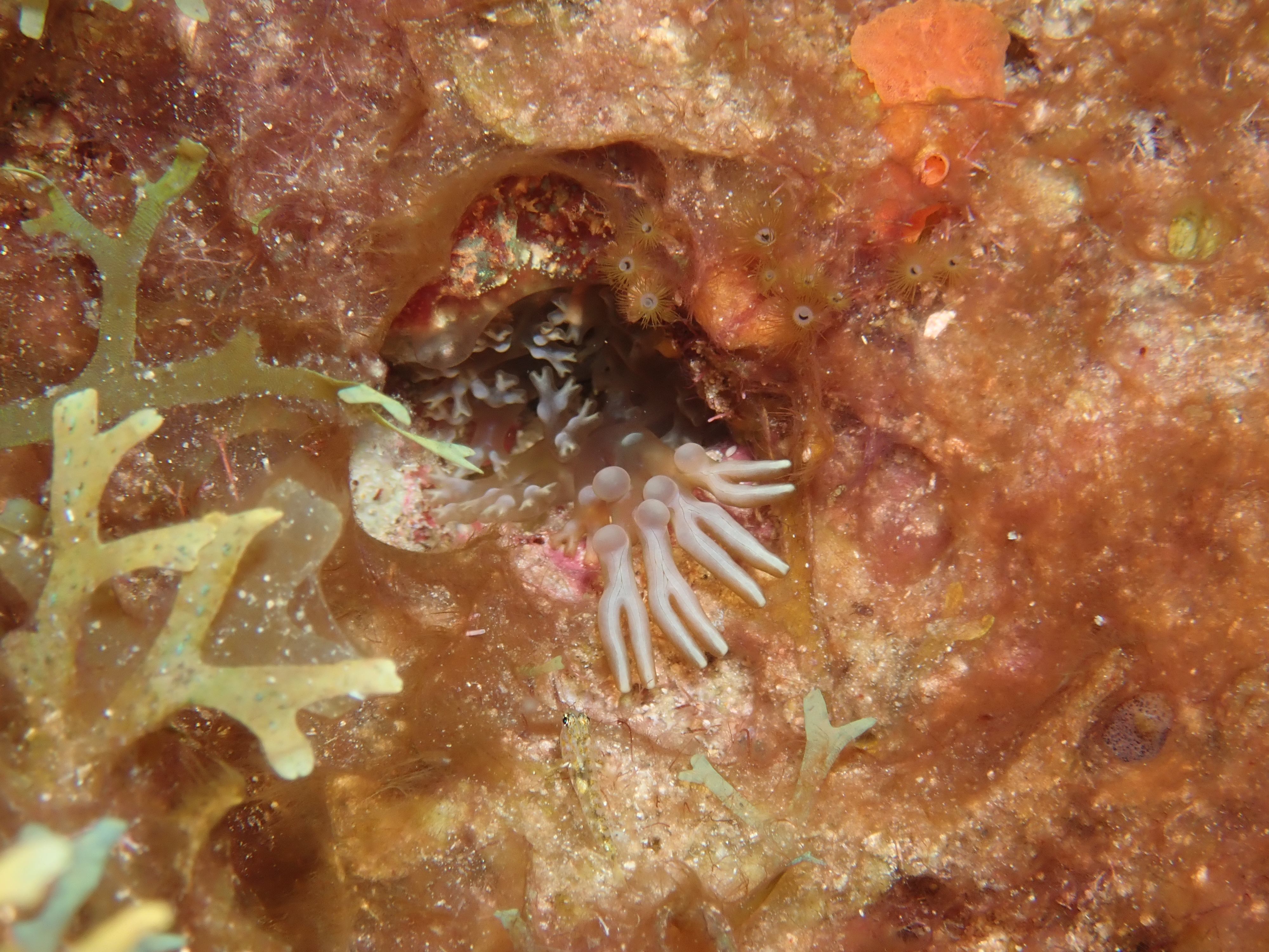 4937A695-0006-41DF-BB22-0F5A3E04D5CF