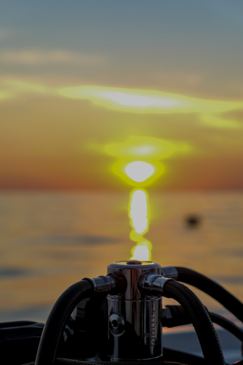 49D6F2F7-AD3F-40B6-BCCD-1D4106C6DBB2