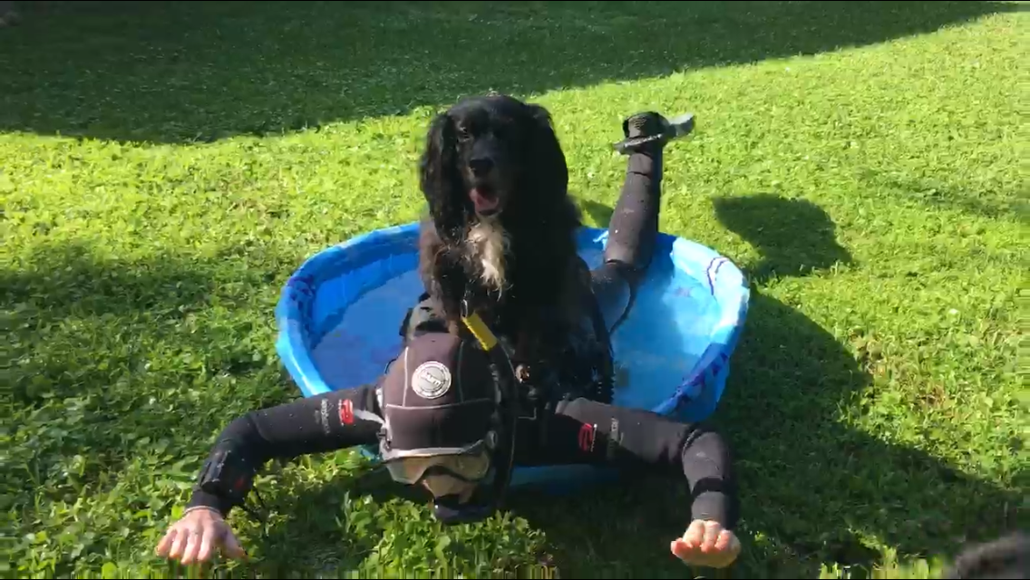 4BB52C97-B4FB-4A71-B5BA-A547D19732B3