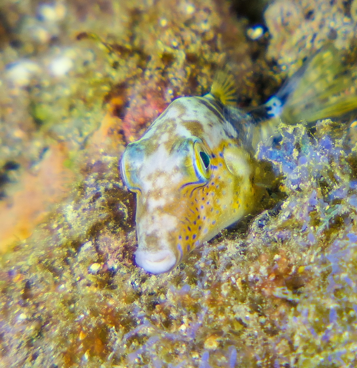 53F41FFE-A6F7-4DD3-AAAE-784D721026A4