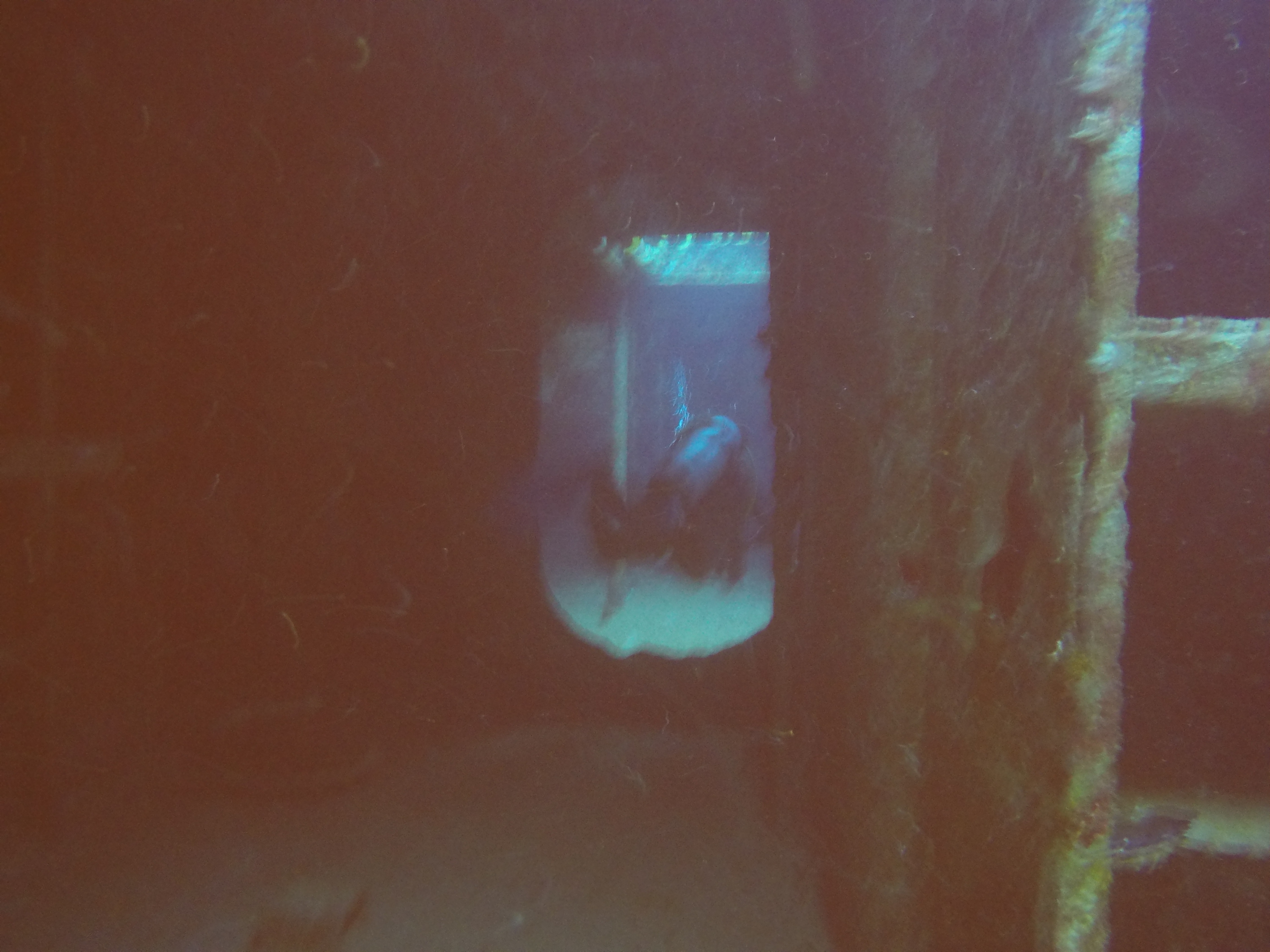 6 - C53 Minesweeper Off Cozumel Inside