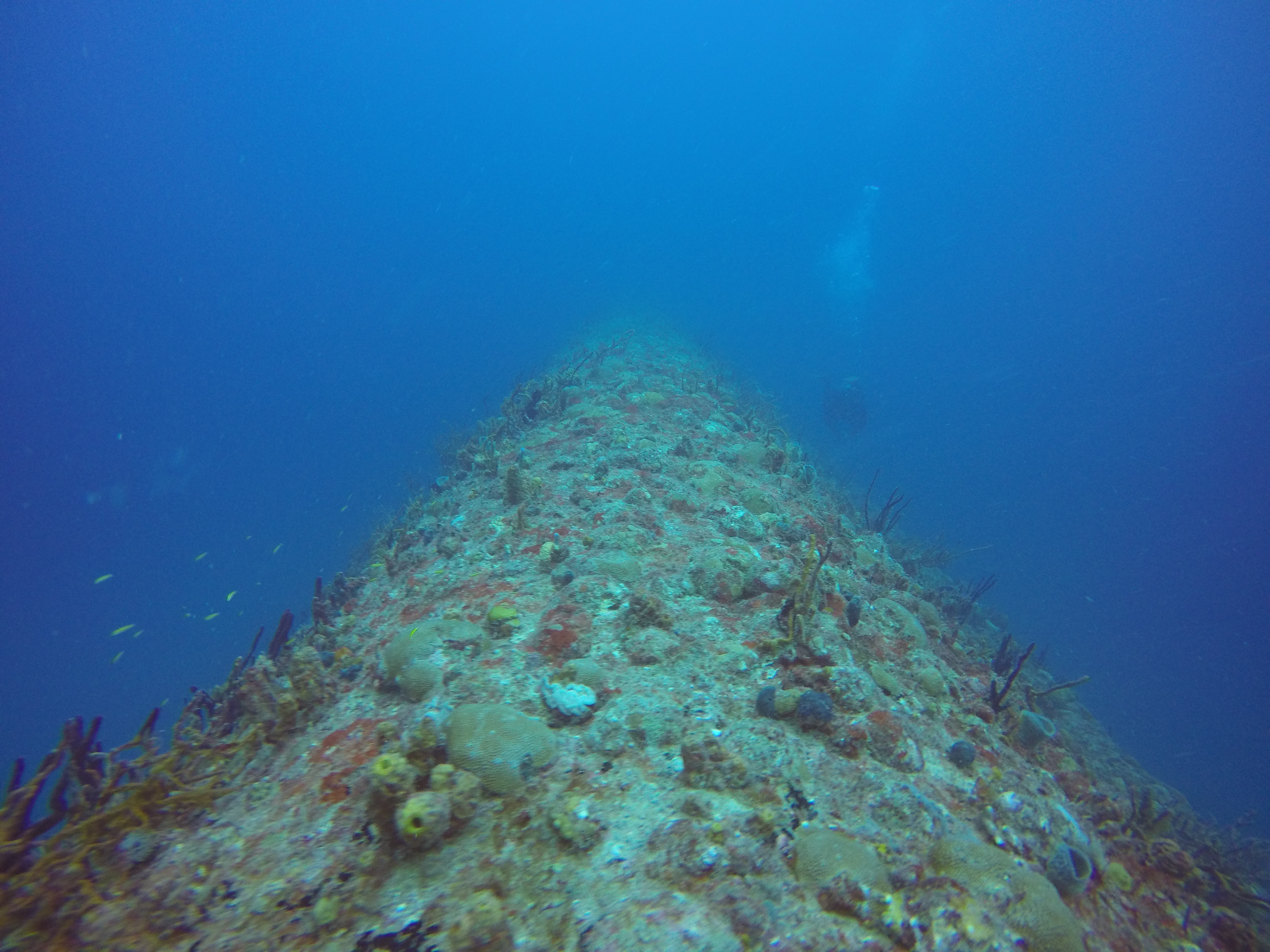 6 - inverted hull of The Miss Opportunity wreck.JPG