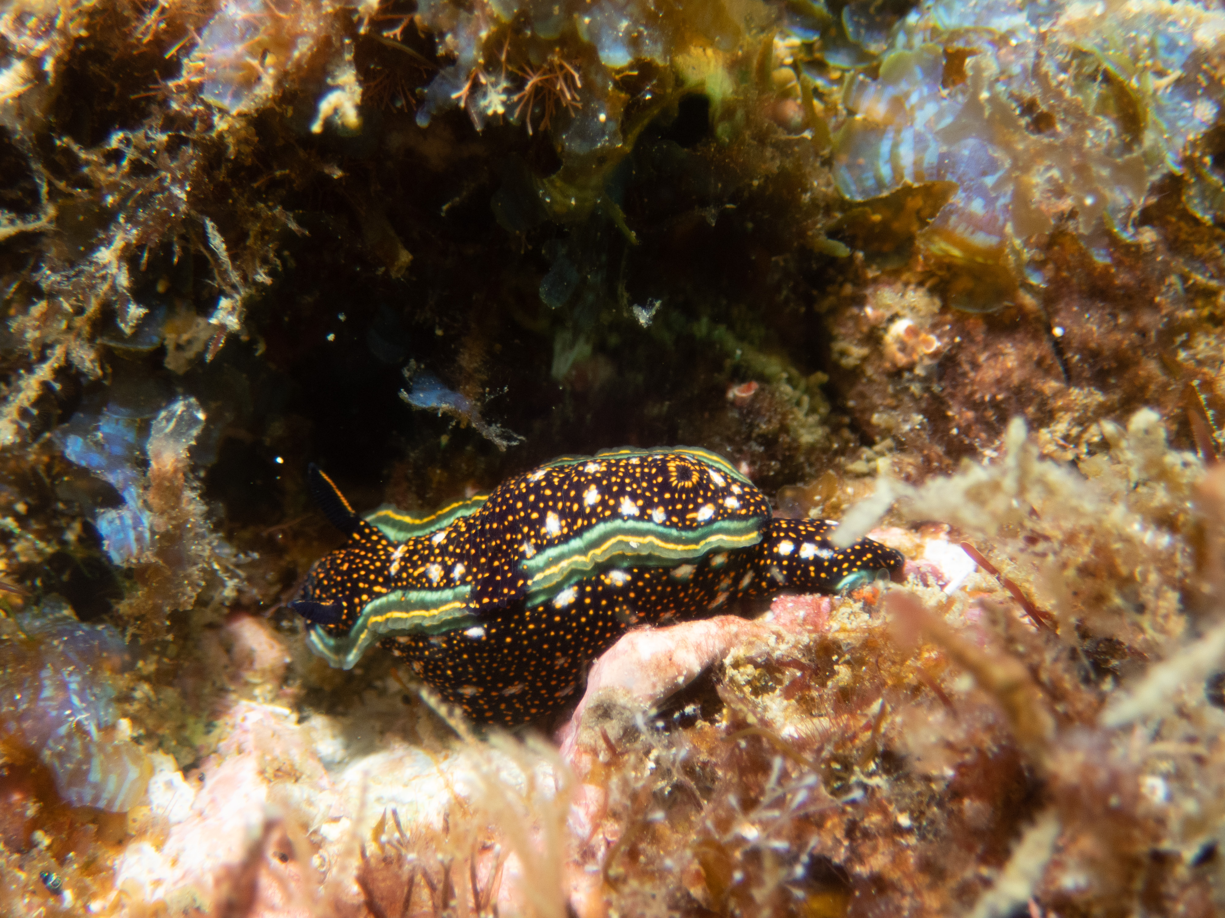 63042060-6C90-4532-A1C7-AB0E9352D130