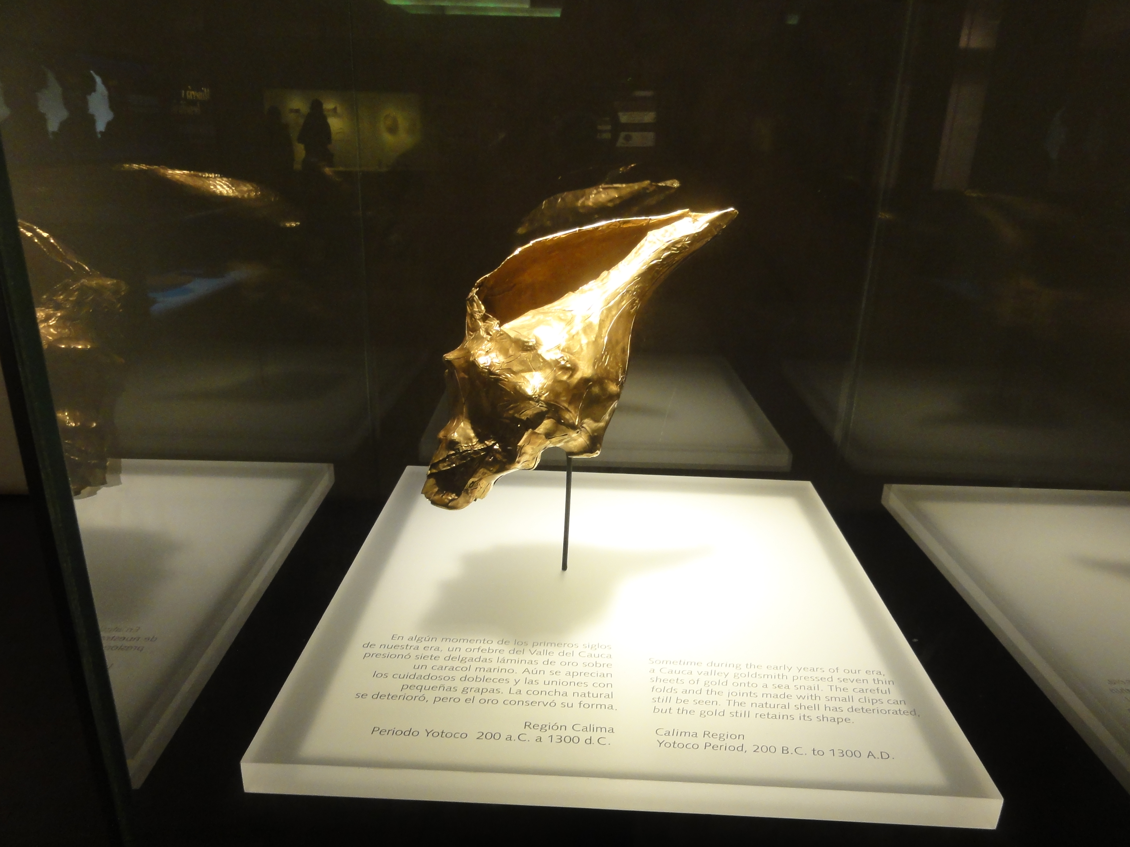 66 - Gold Conch In Museo Del Oro In Bogota