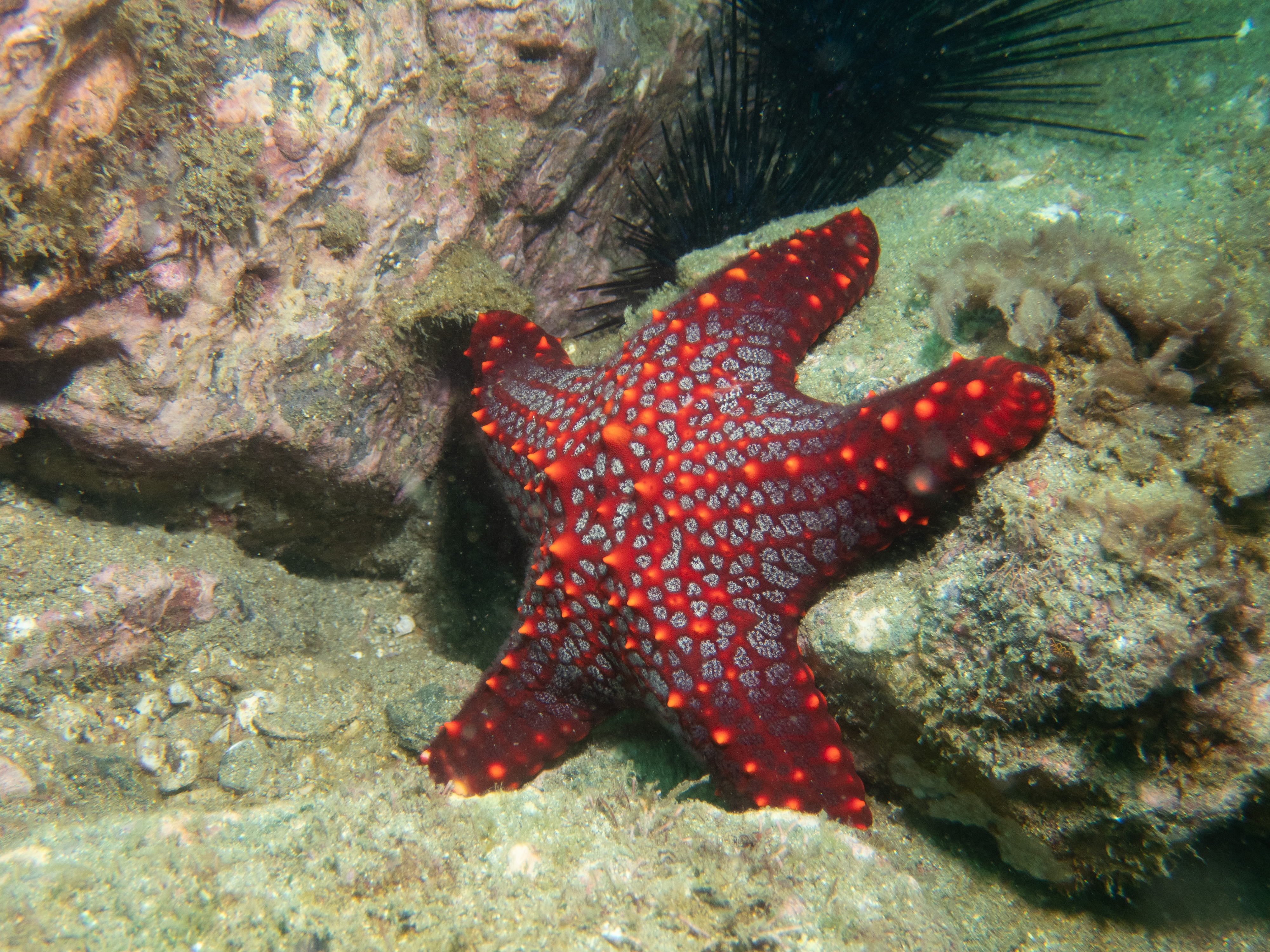 6F5A7A77-6C3E-4EB3-BB24-B06D45E82683