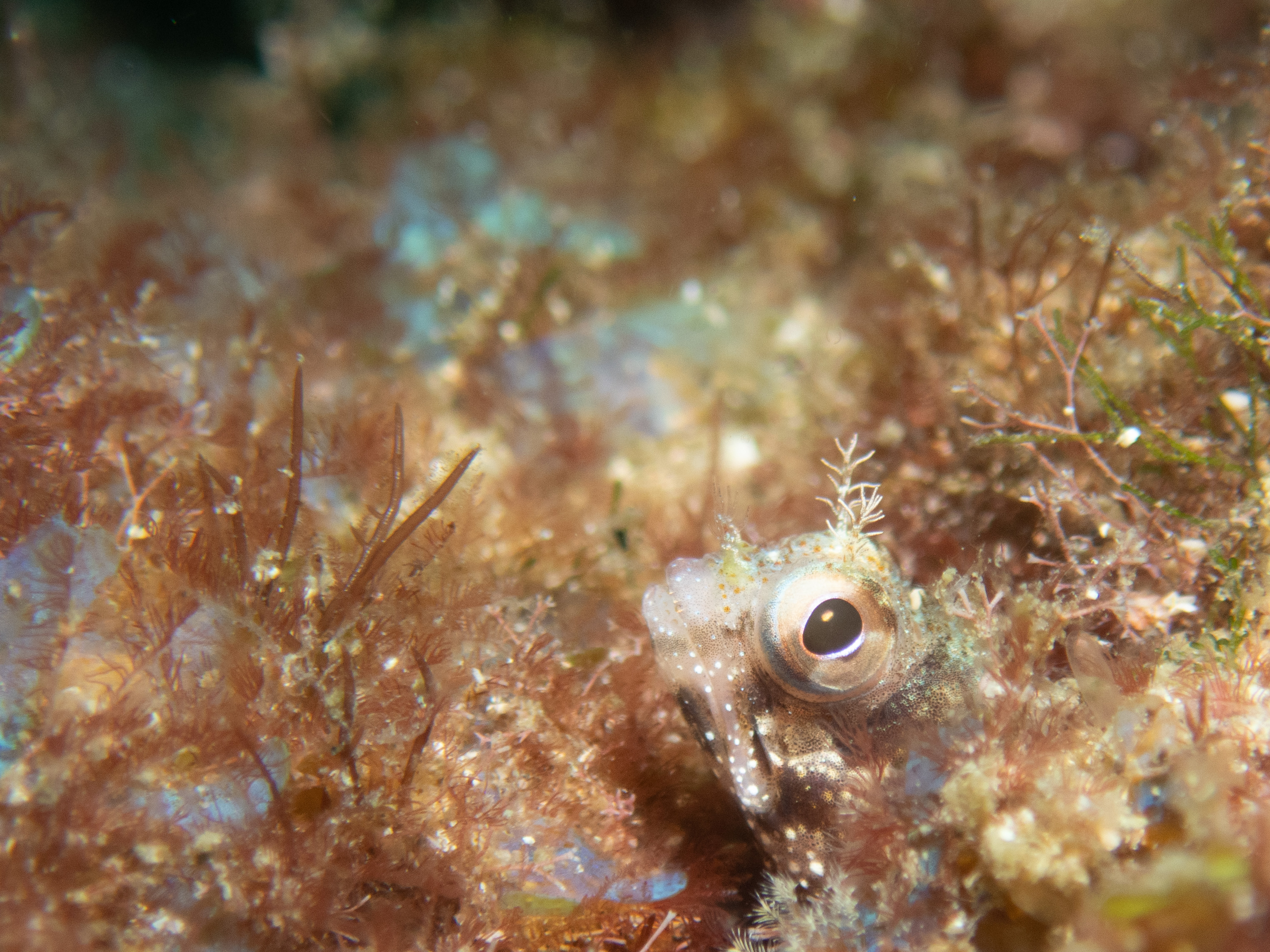 6F5B6E8B-F593-495E-808C-BC14165809AF