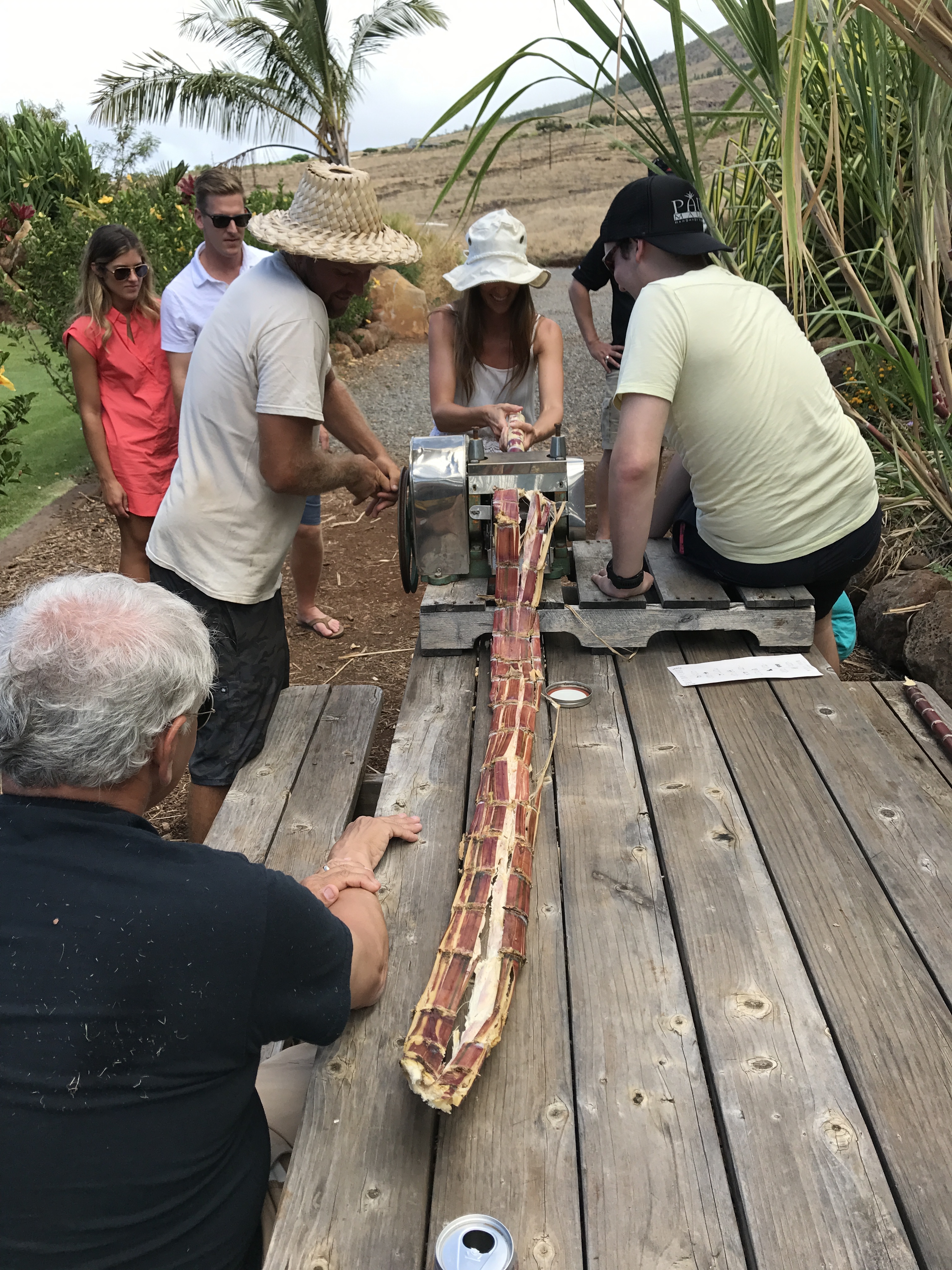 7 Coconut Farm