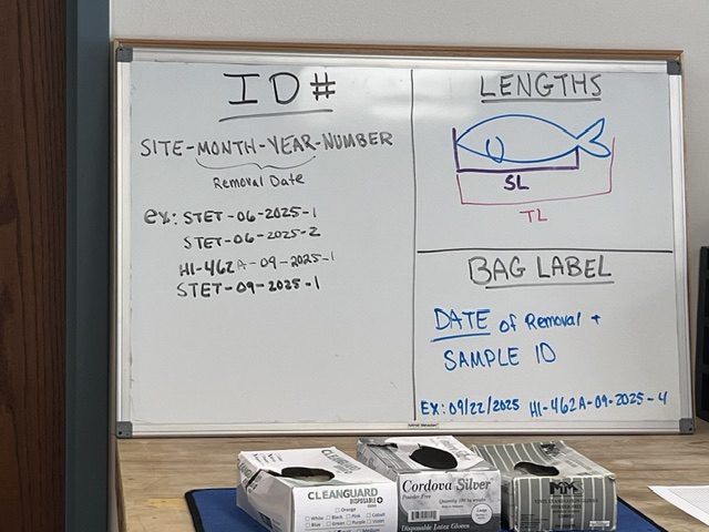 7 - task list
