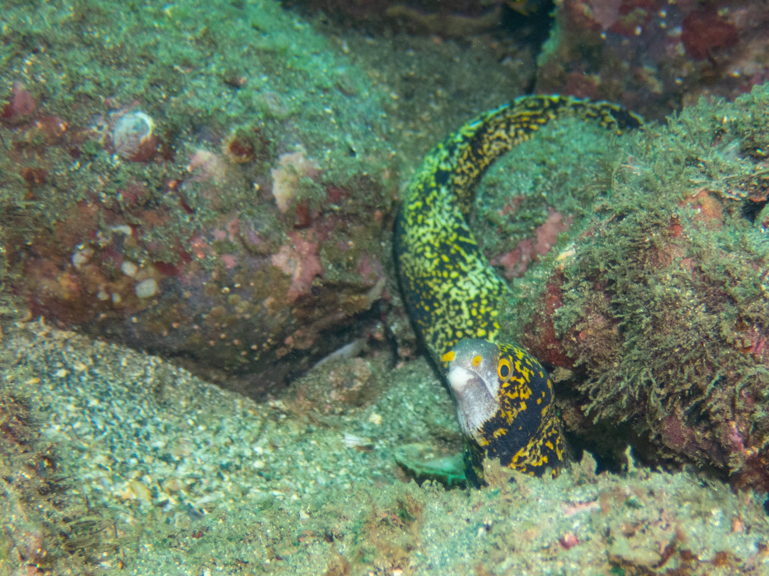 7073EB9A-55D2-41FB-BA3F-01525A3F7D13