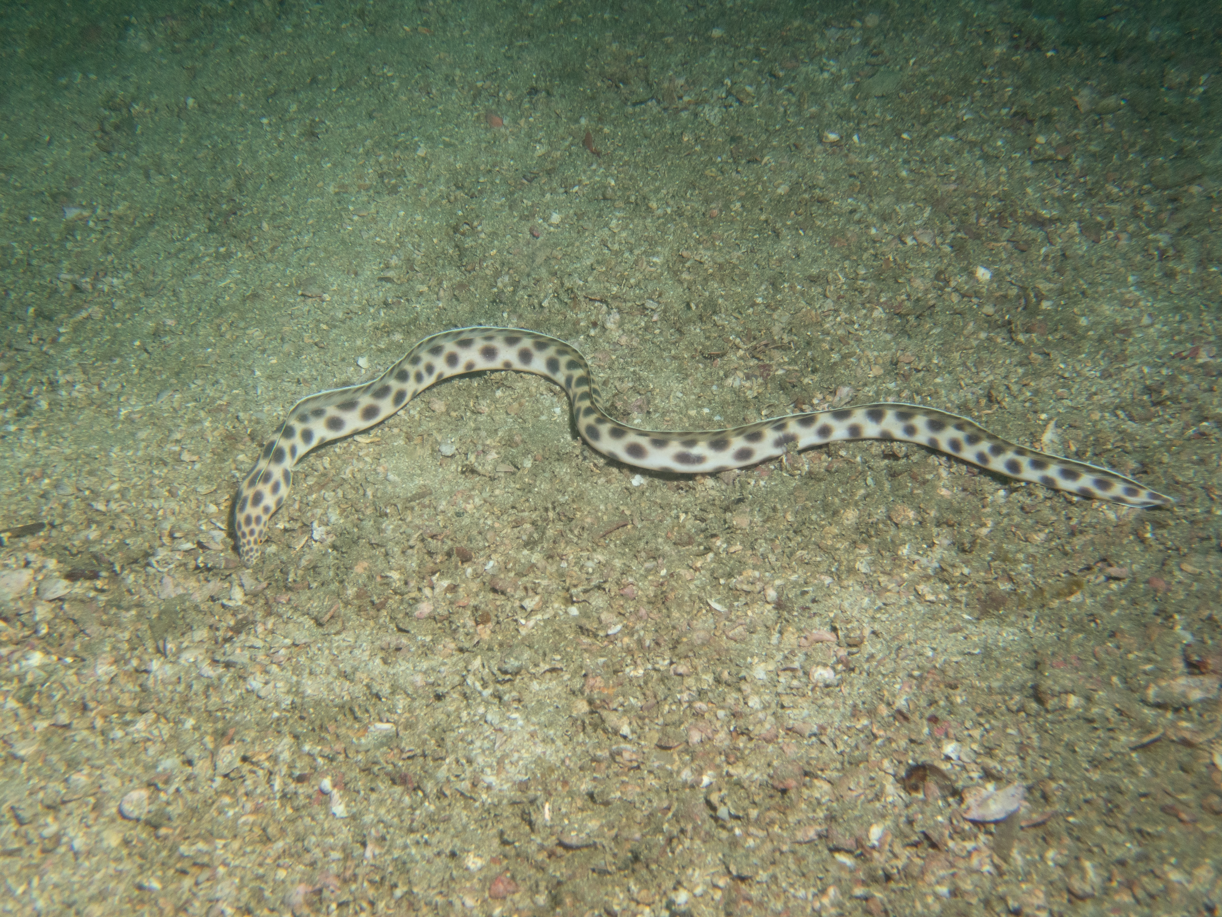 797D69A7-F454-4DD0-9BD7-E55EF3685D48