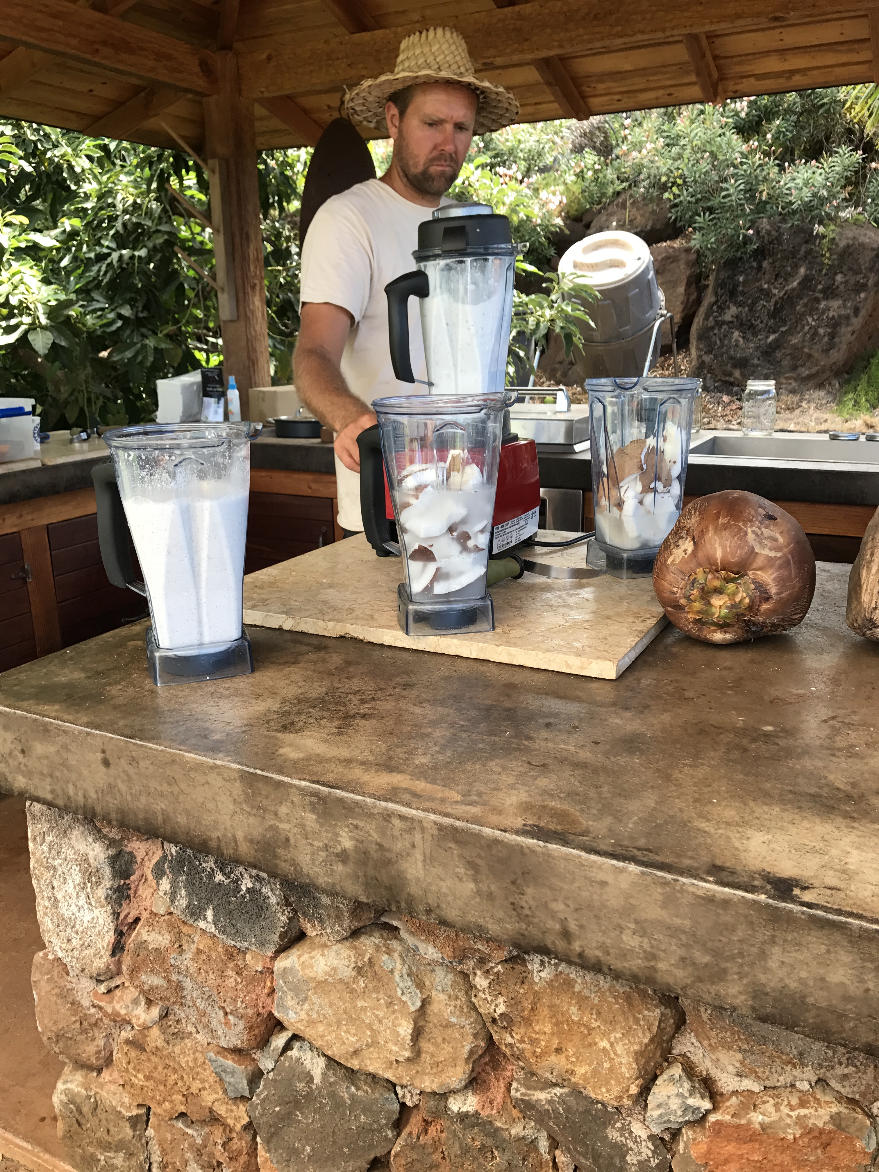 8 Coconut Farm