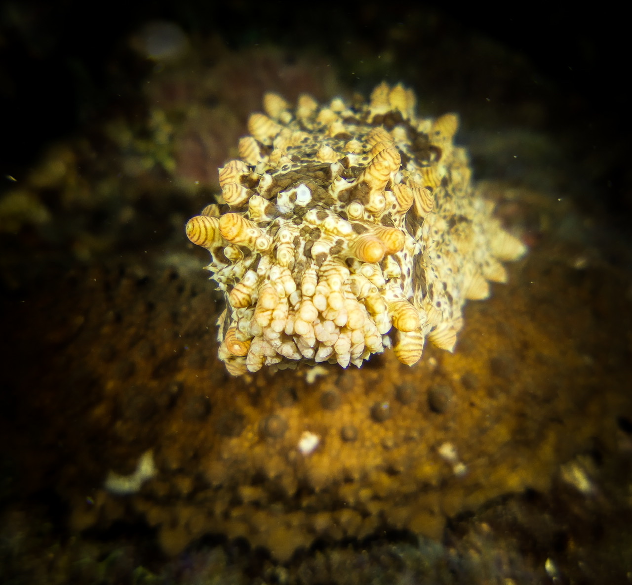 87F6D80F-590C-4003-AD11-39BB33A45036