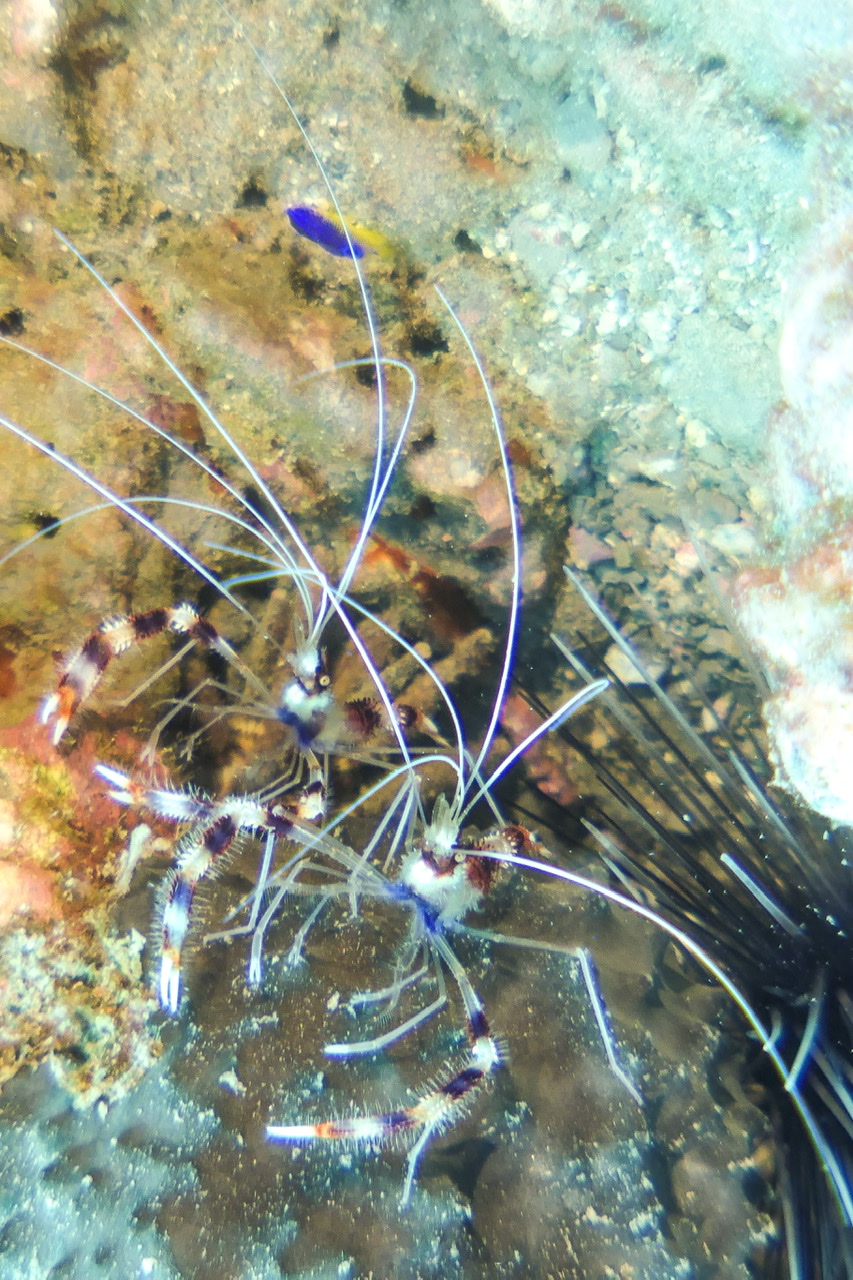 89C90C0C-6836-4A68-BFB8-AB1918457F4F