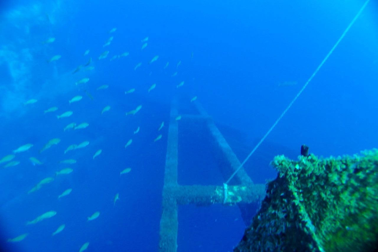 89D02F9C-2DC2-4A1F-9E6C-4D41F02EE6CC