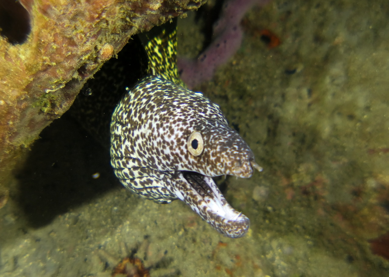 8DAE4EB0-20B9-4E8D-9716-92125C6B761E