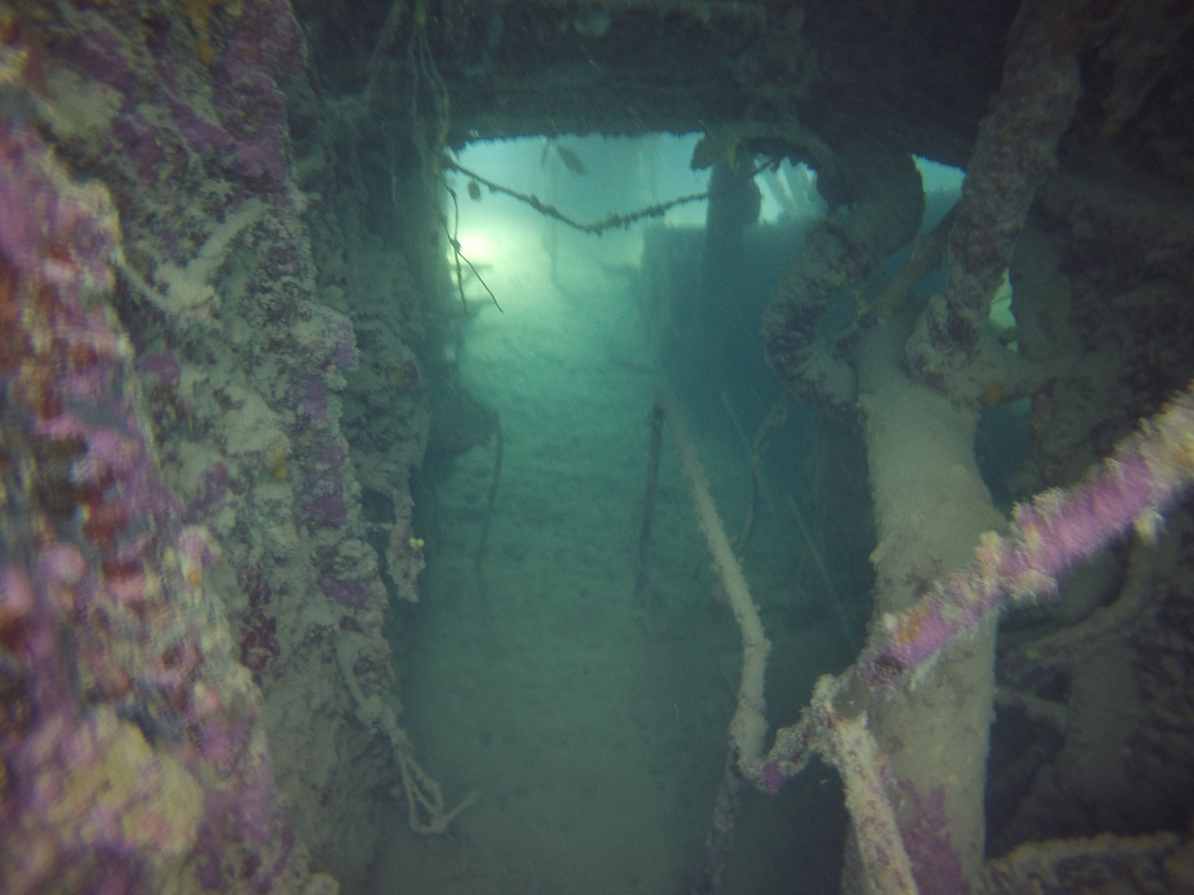 9 - inside tug wreck.JPG