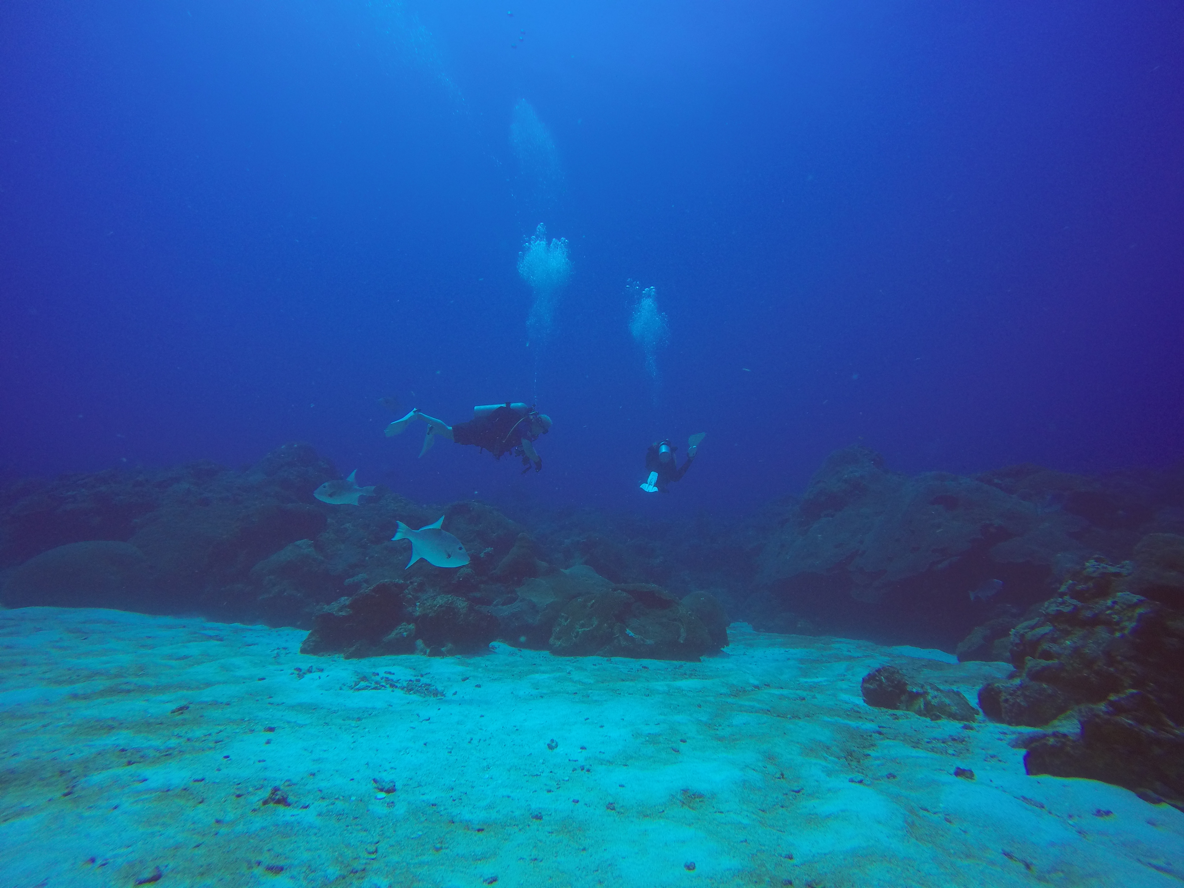 9 - Reefhound and Watermonkey on EFGB.JPG