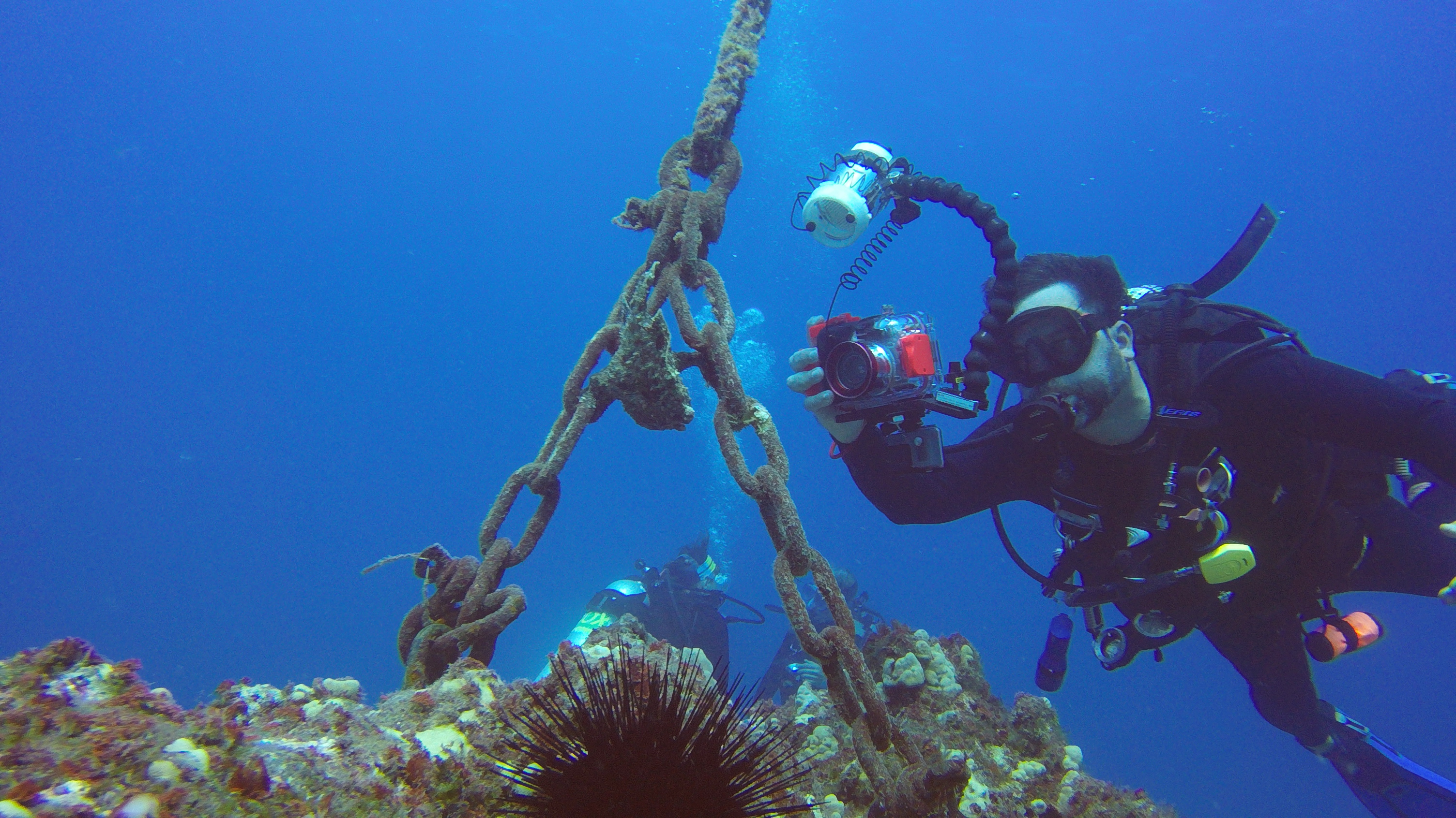 9 SB And Frogfish