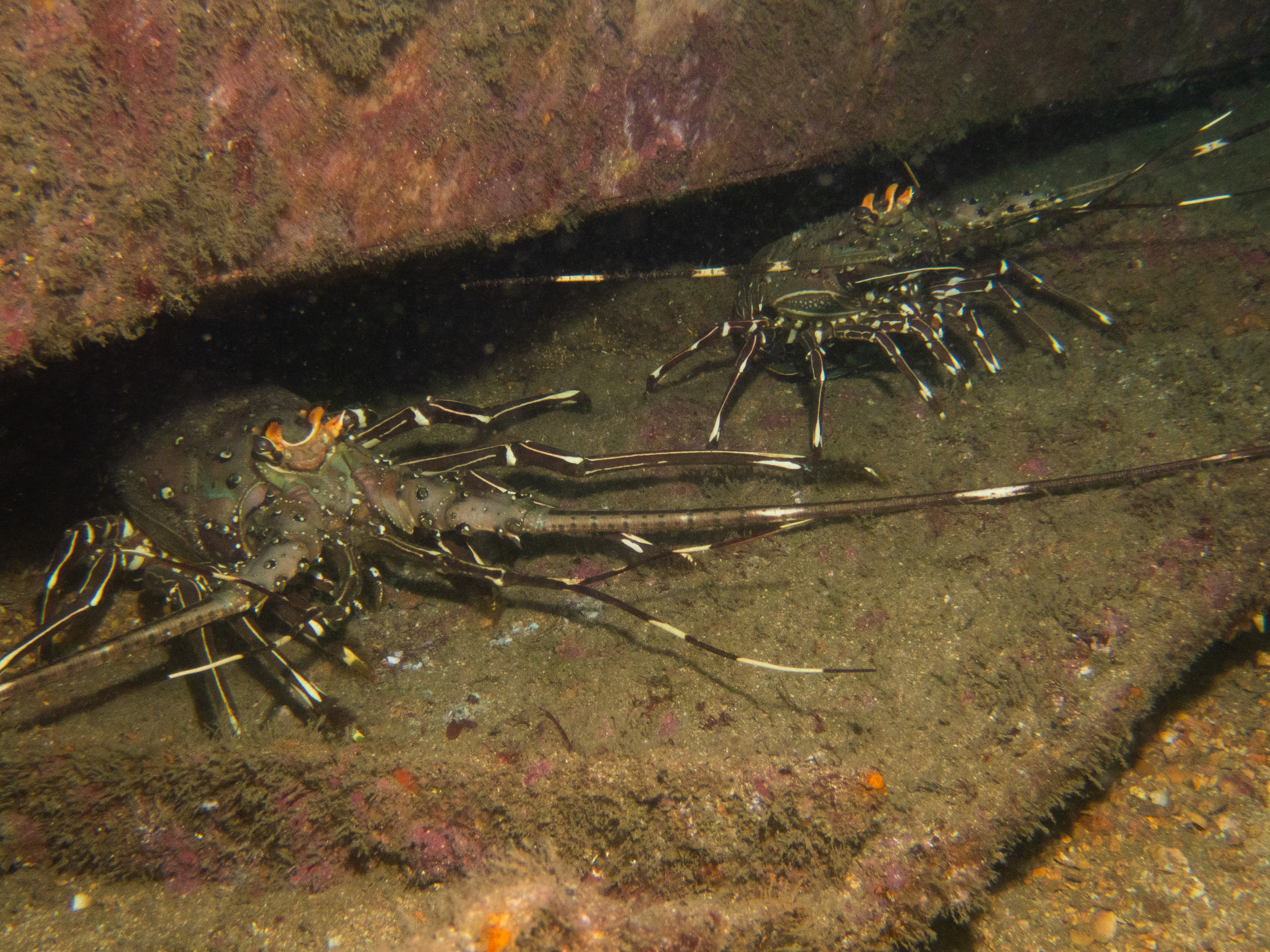 9115C2CC-7EA3-422F-85EF-B77BE435D0F5