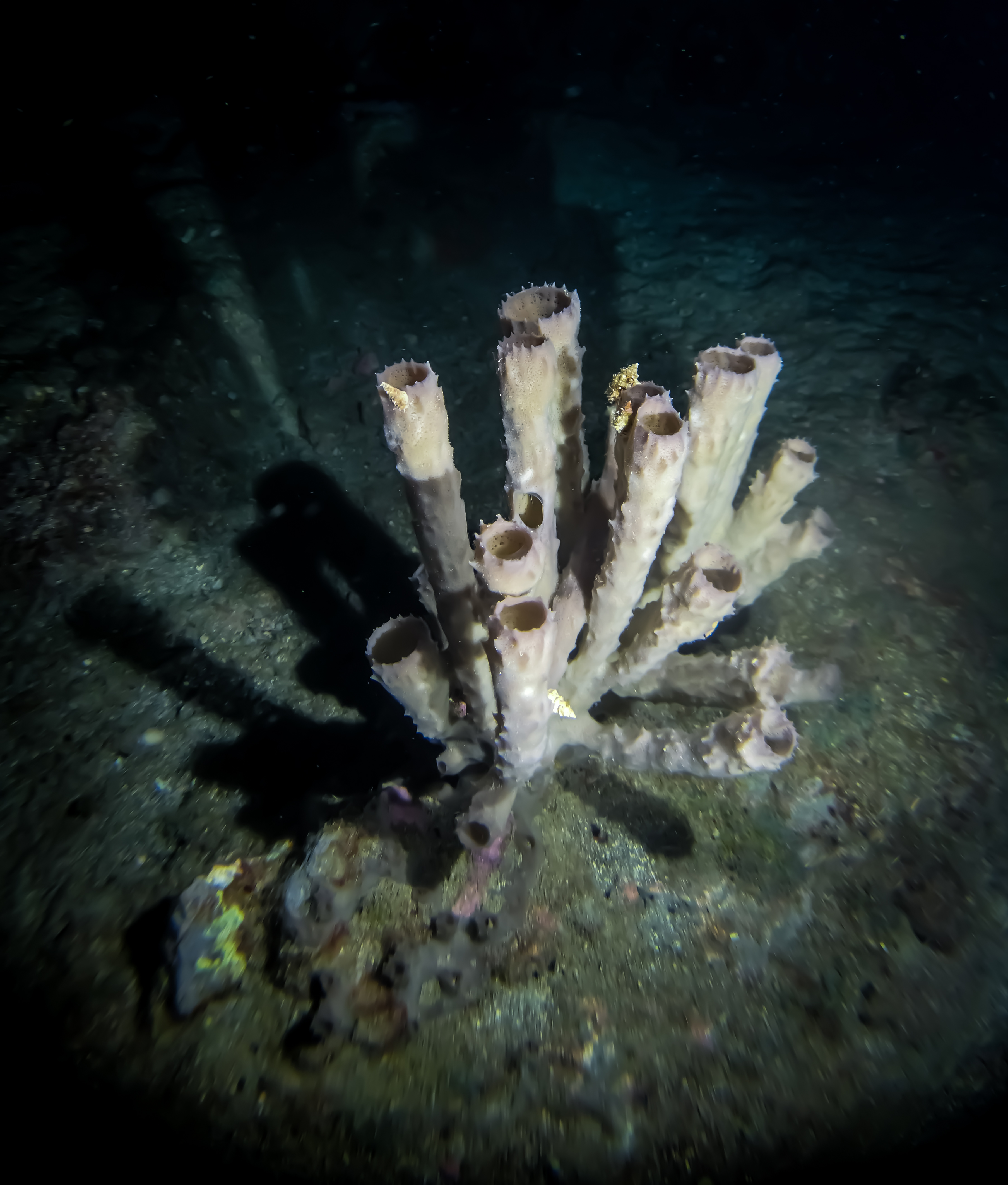 -91E0-4DFD-AE37-4C053394DC81