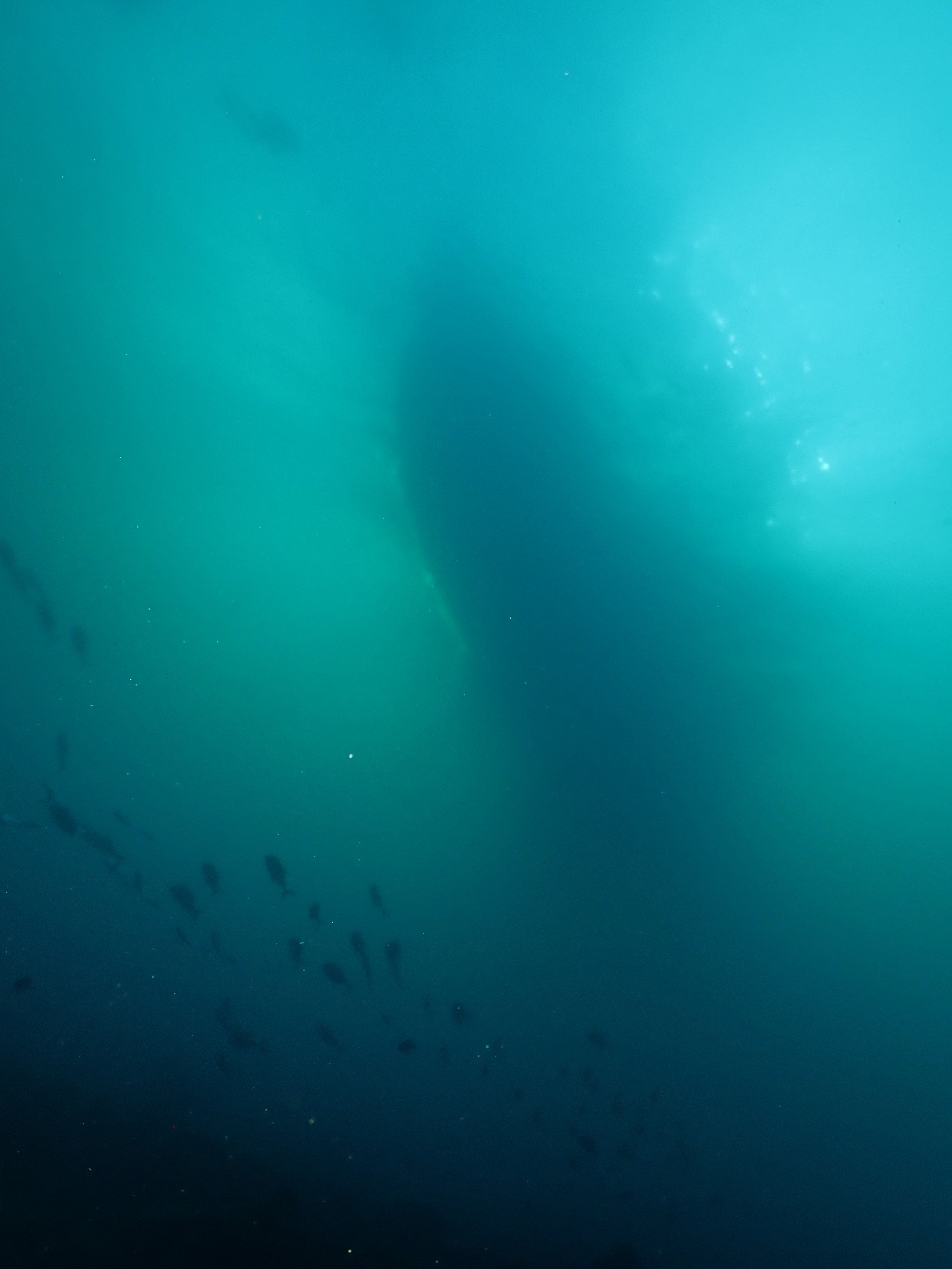A dream of a boat