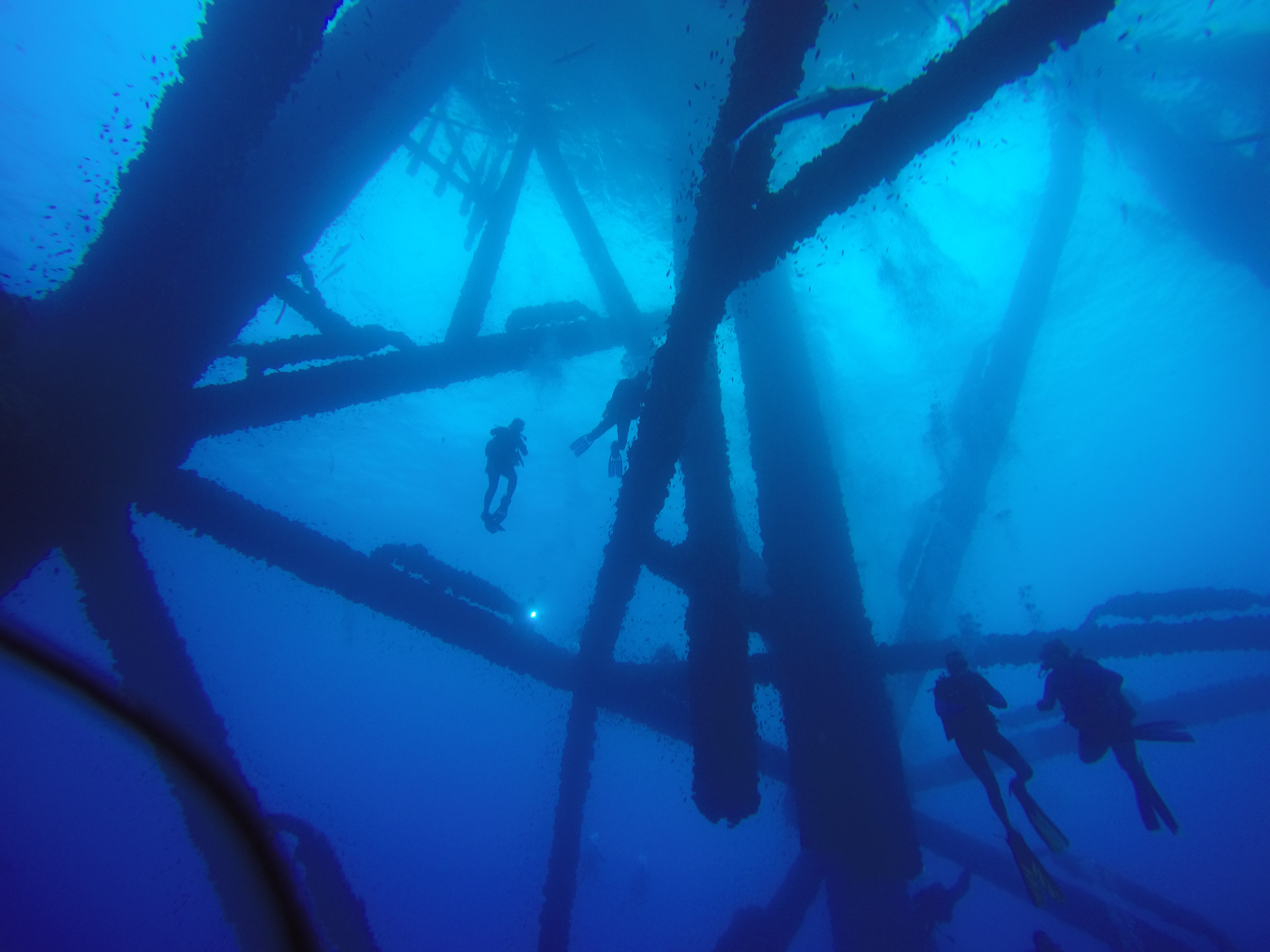 A jacket full of divers.JPG