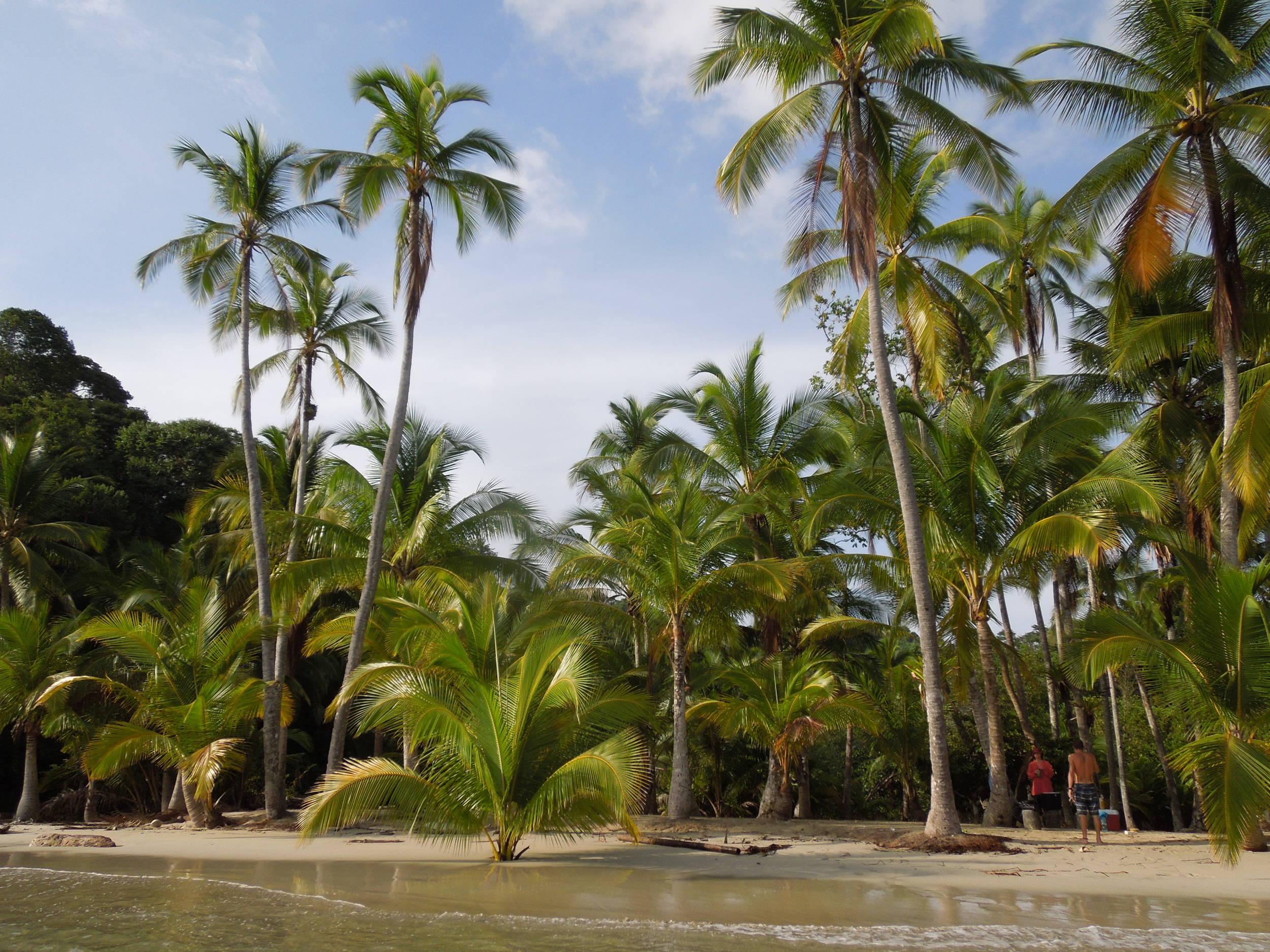 a pretty good place for sundowners