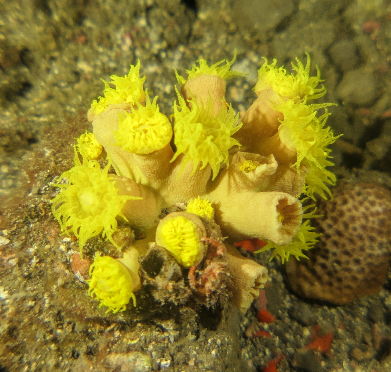 A5E61088-0AD2-4FD3-9407-D15C13866666