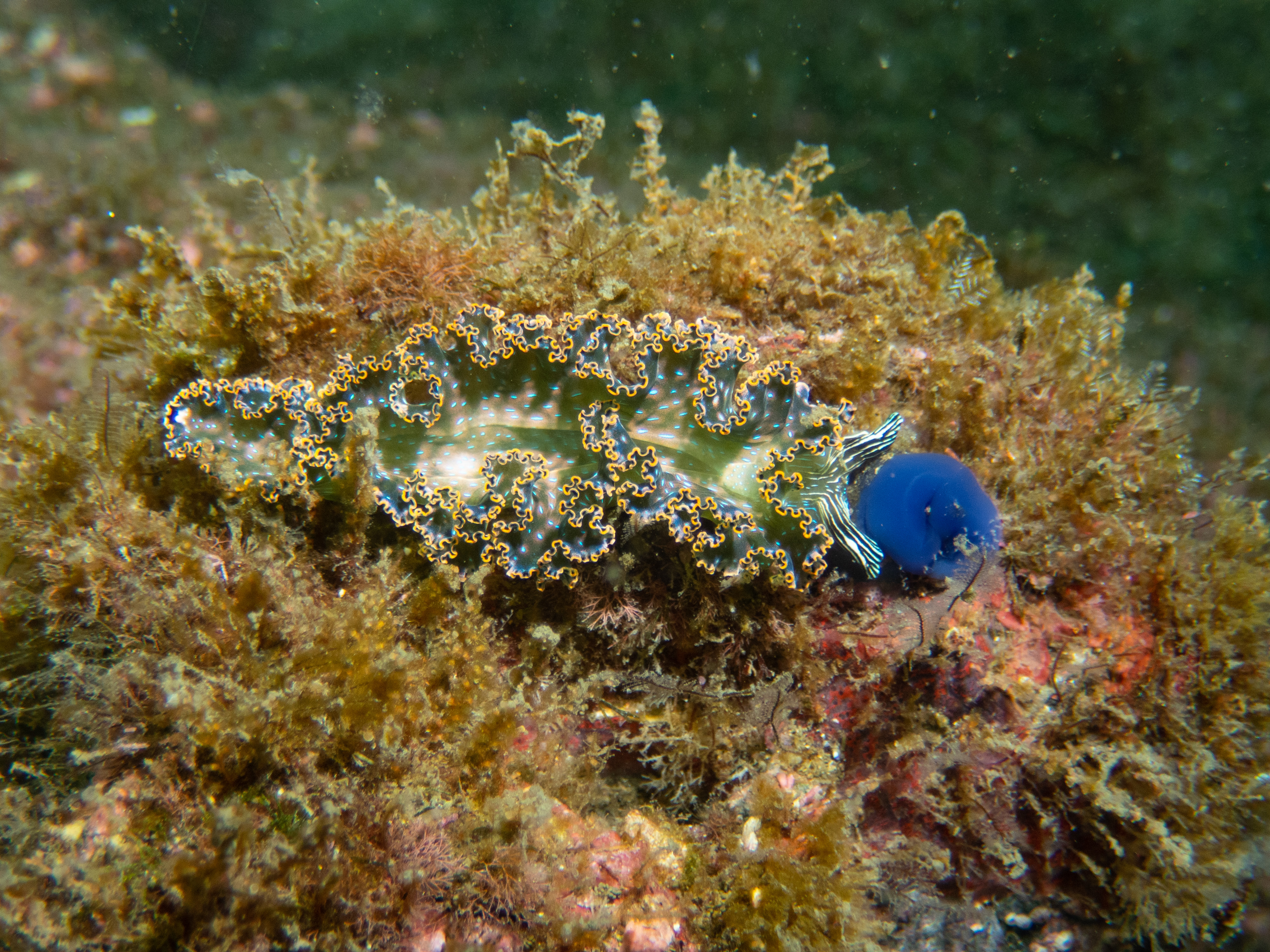 AB00CD0B-B369-41A1-A7C2-20D04CAB435A