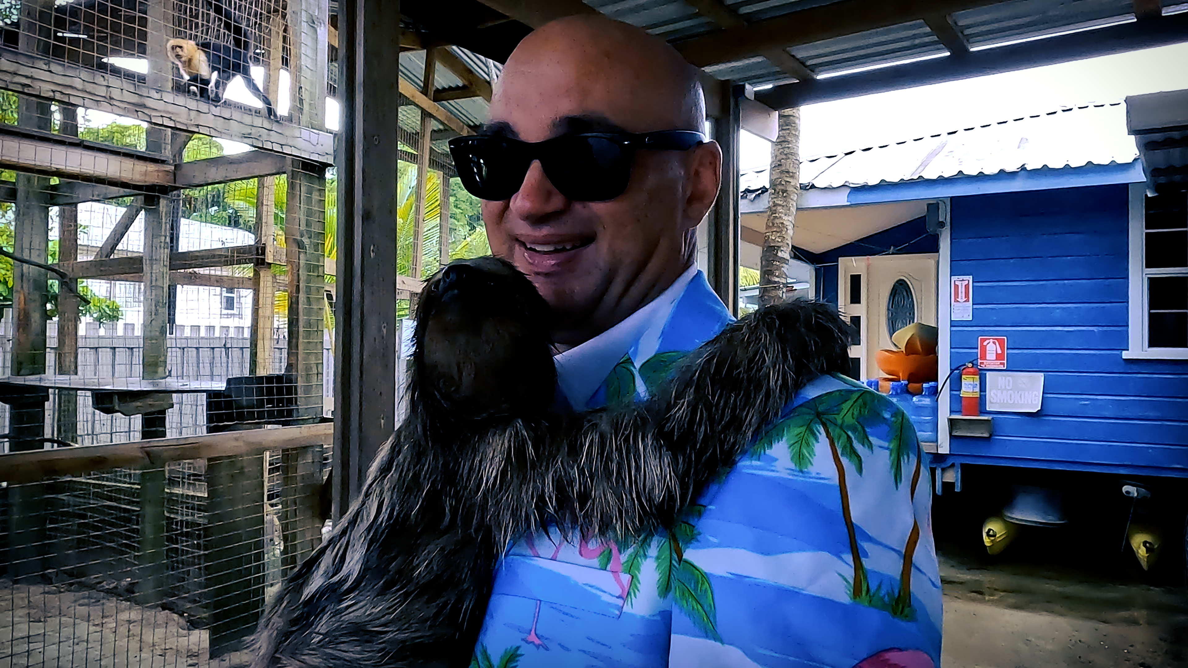 Adam + Sloth