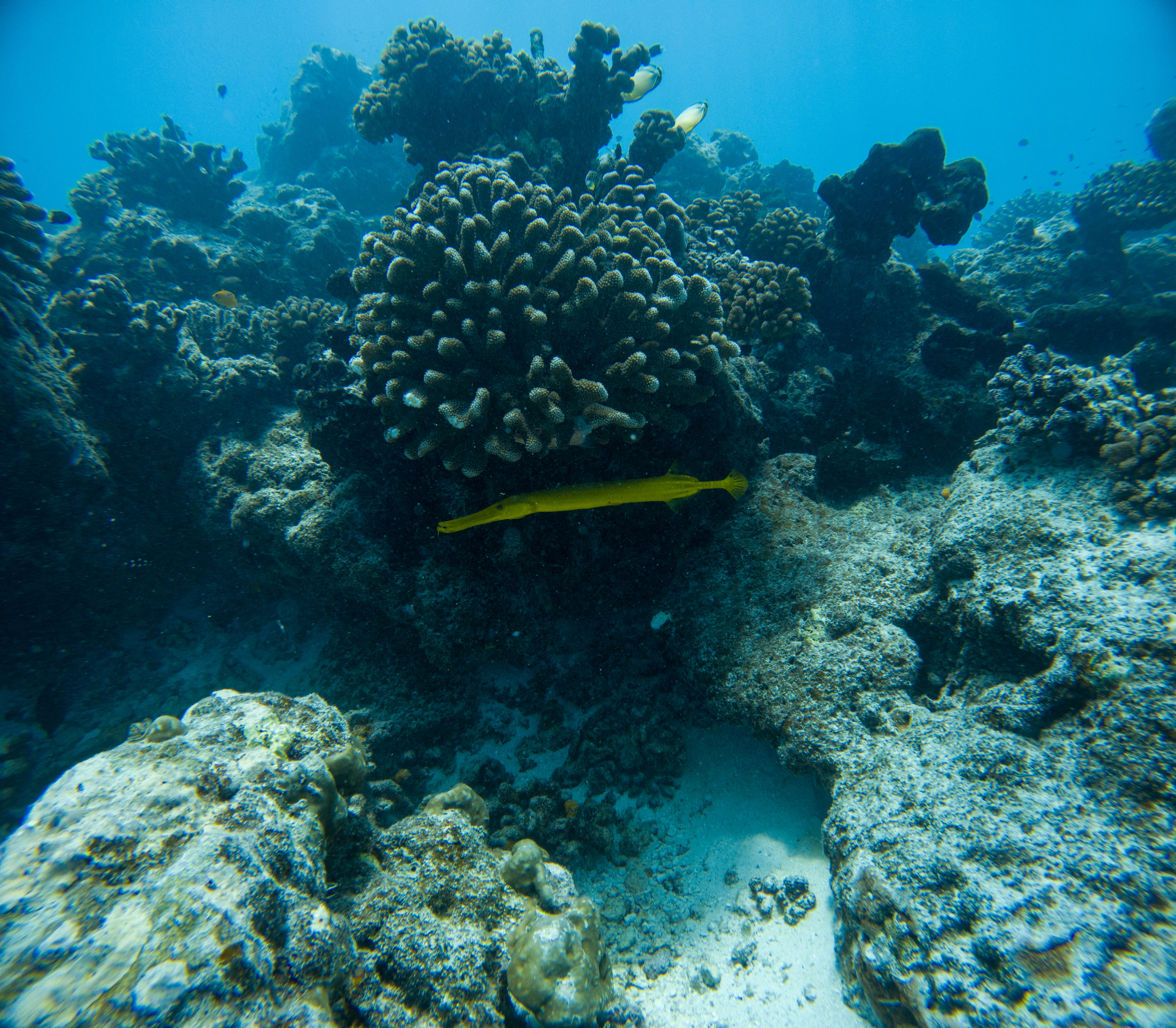 Adam's Pics (11).JPG