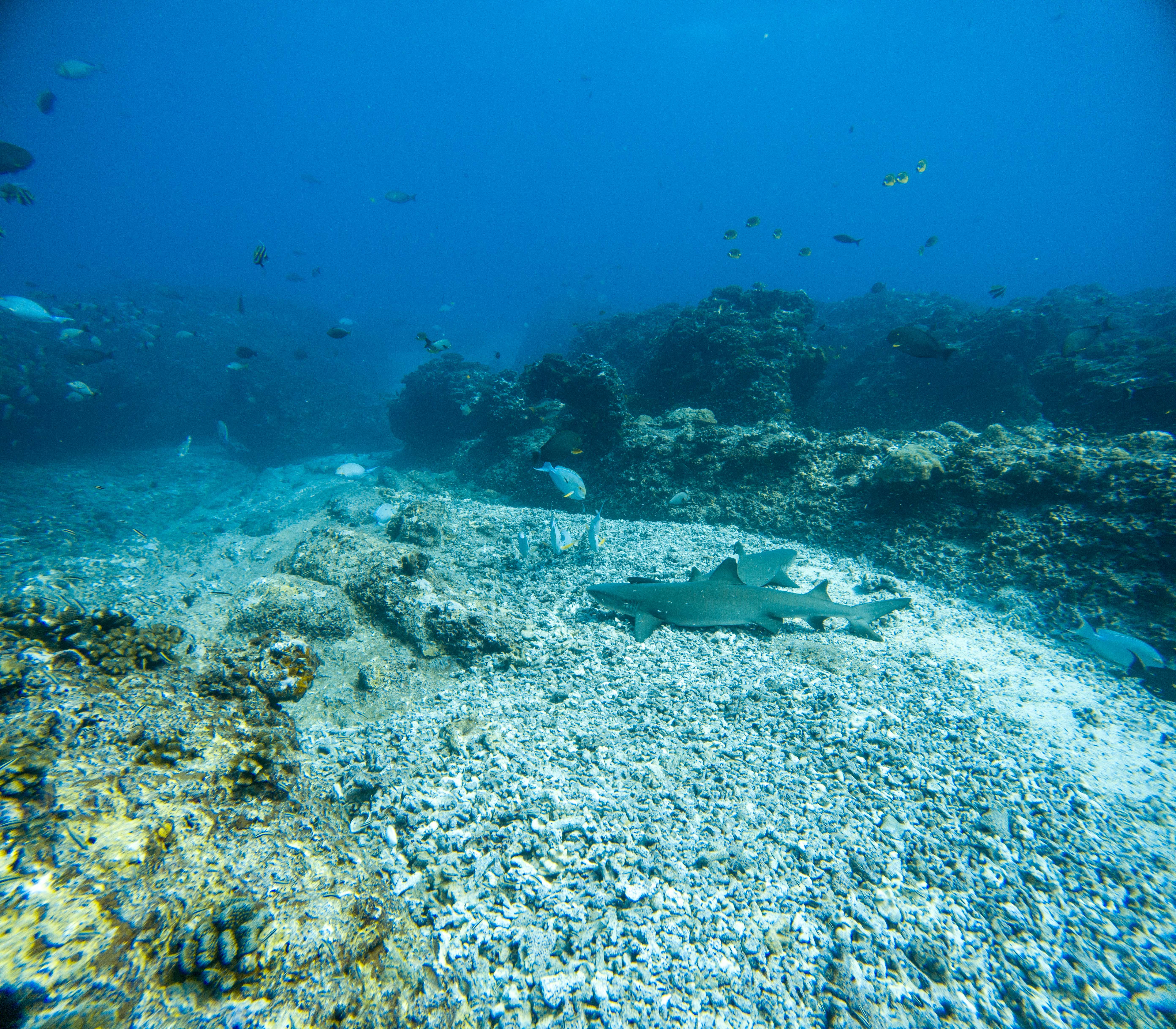 Adam's Pics (12).JPG