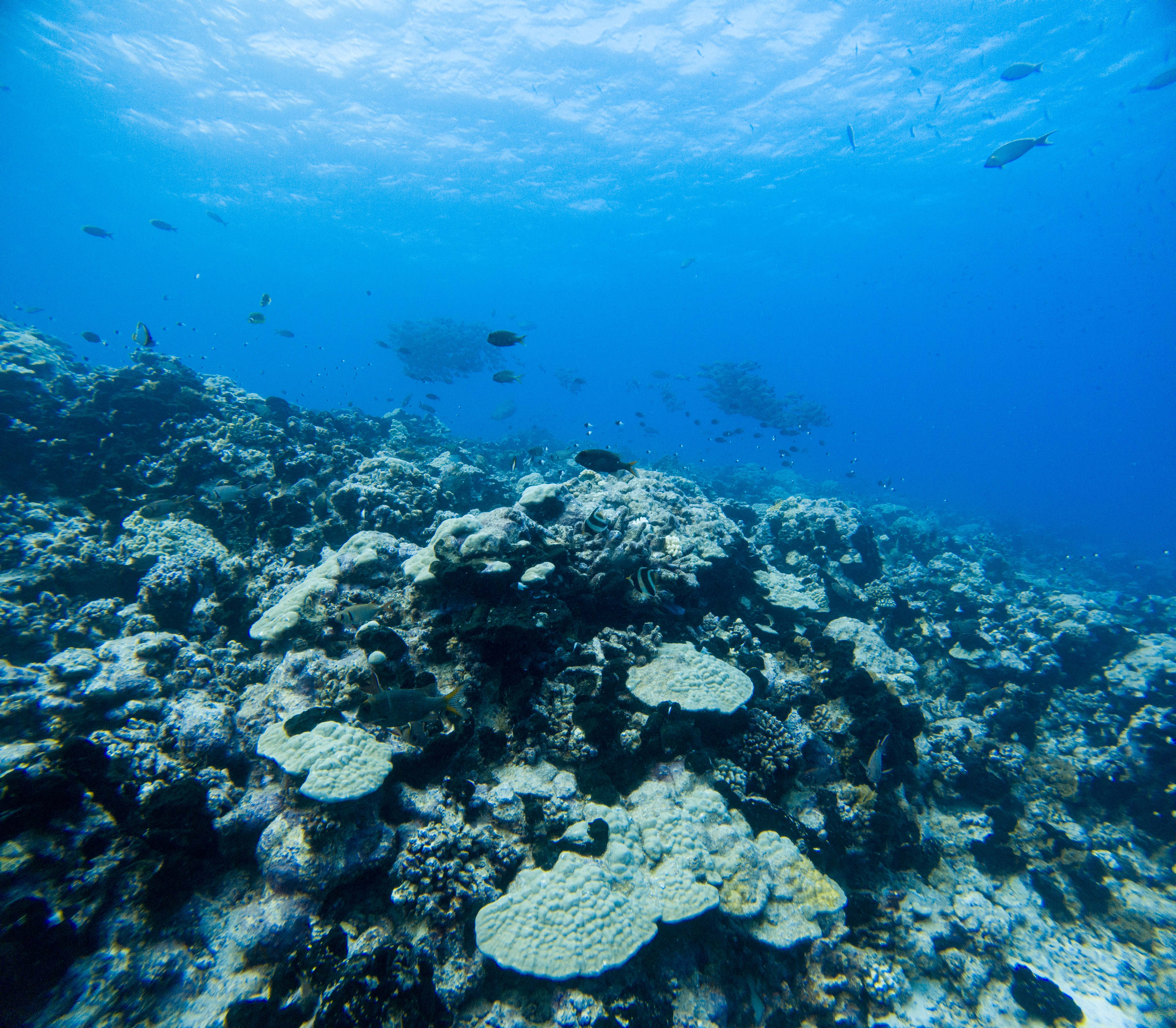 Adam's Pics (24).JPG