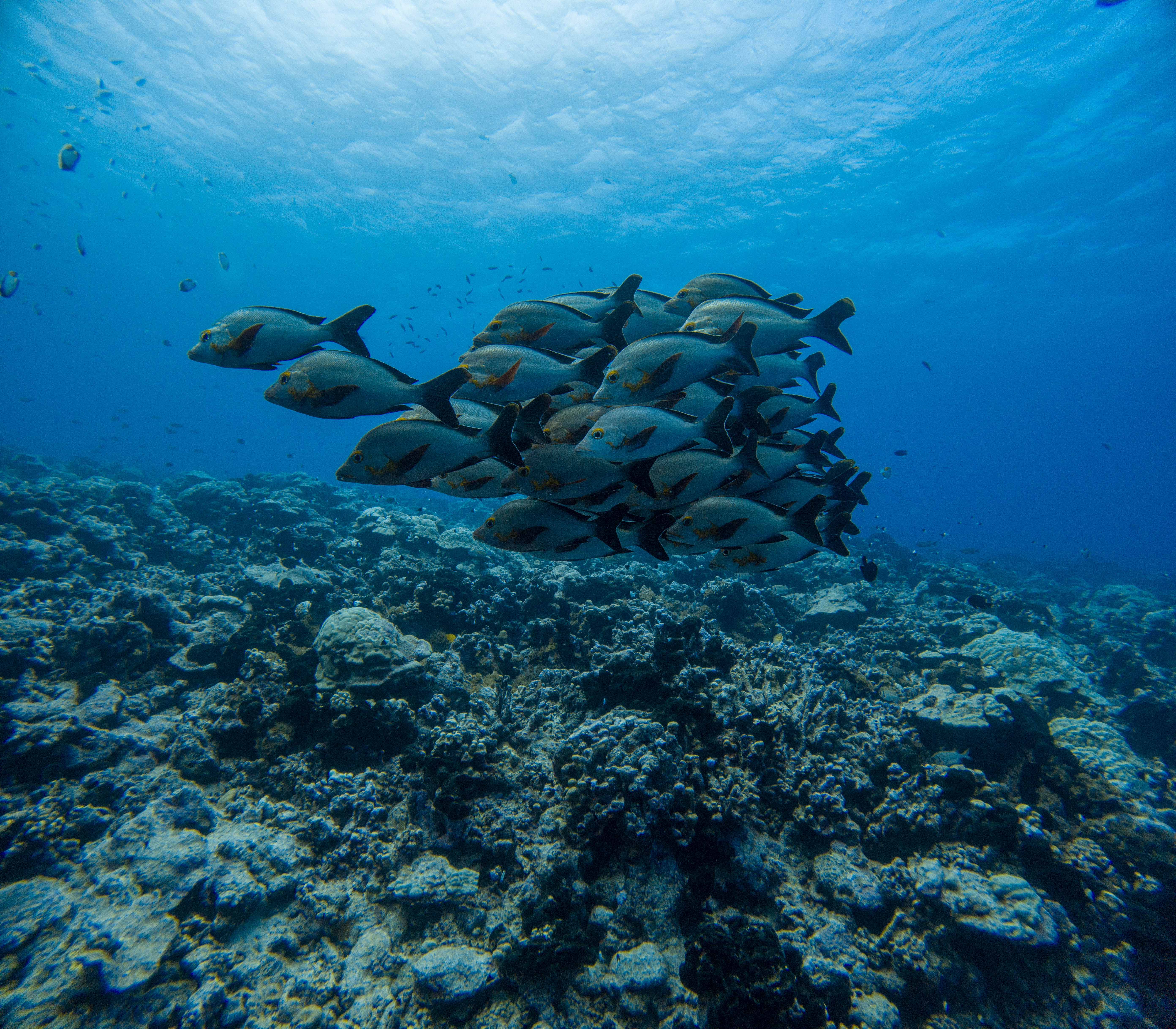 Adam's Pics (25).JPG